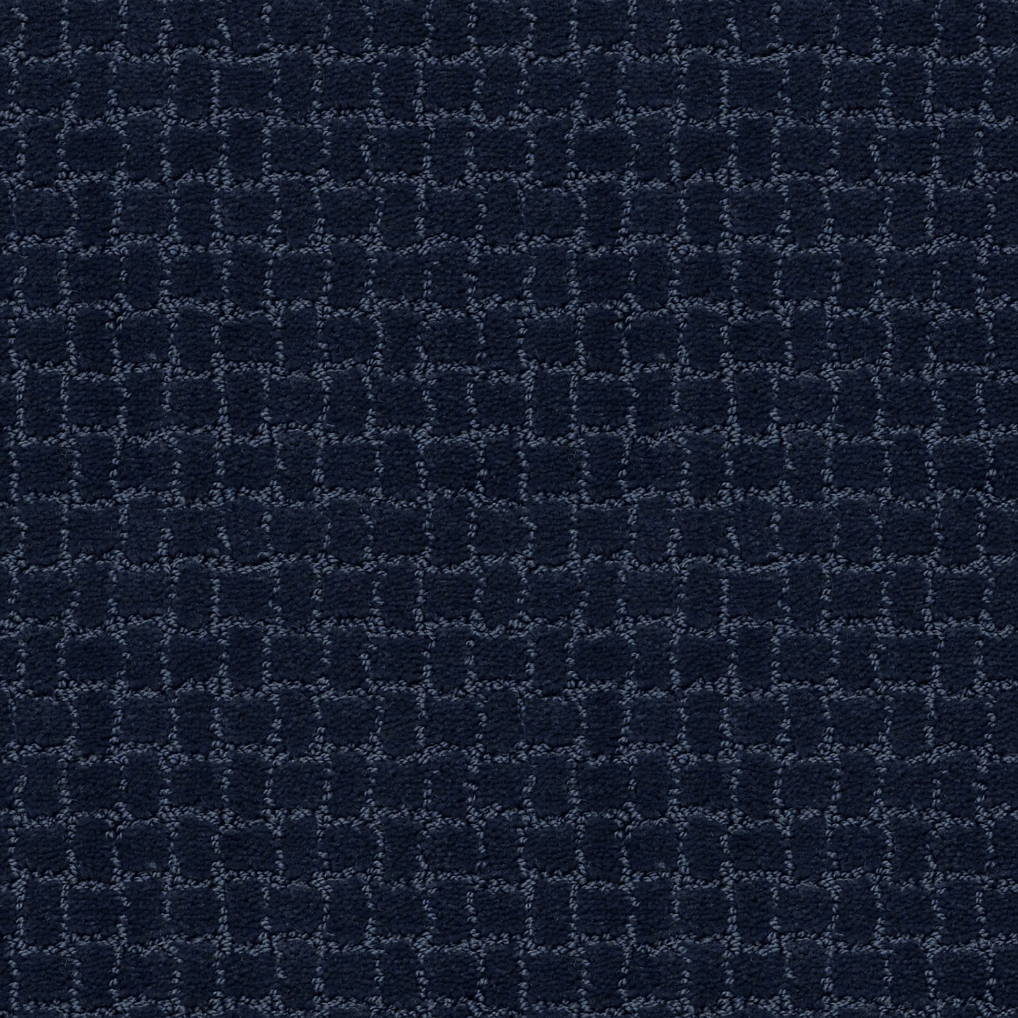 PAWSTRUCK DOWNPOUR MAIN