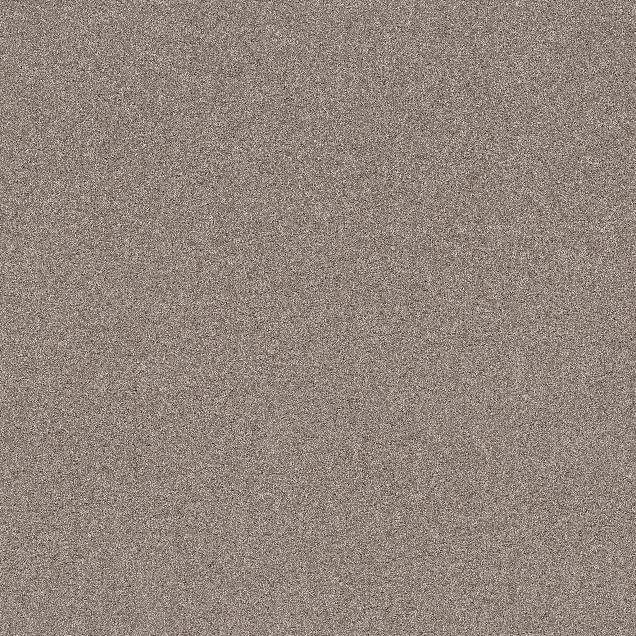 SECRET ADVENTURE MOCHA MAIN