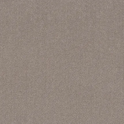 Durable gray patterned carpet for a cozy home atmosphere Textured gray patterned carpet swatch for everyday comfort and durability