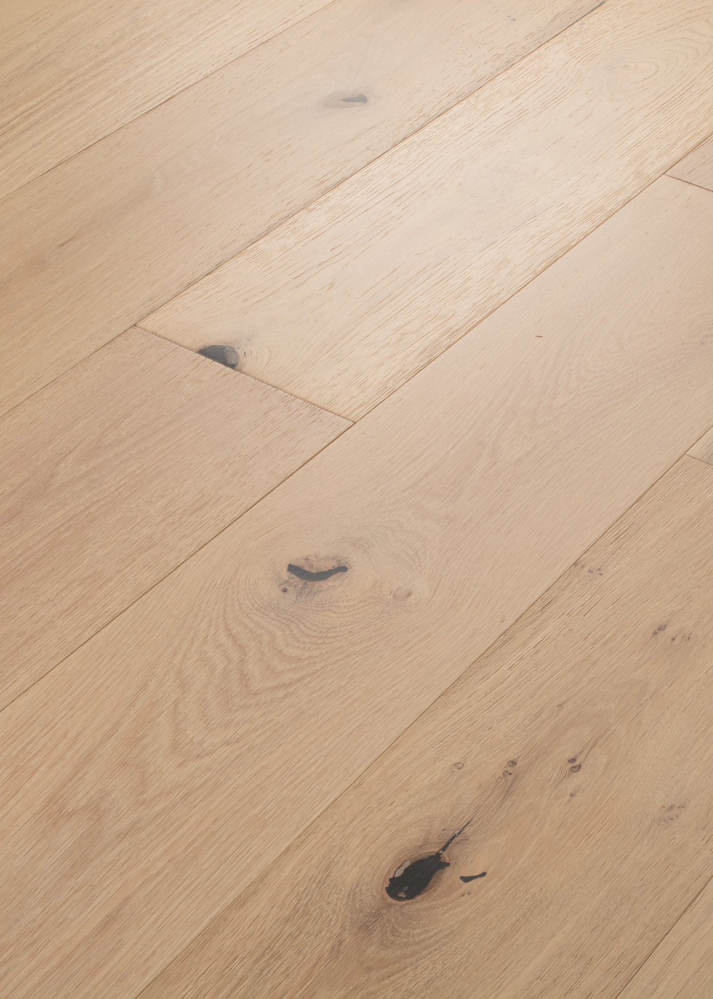 CASTLEWOOD OAK NOBILITY ANGLED