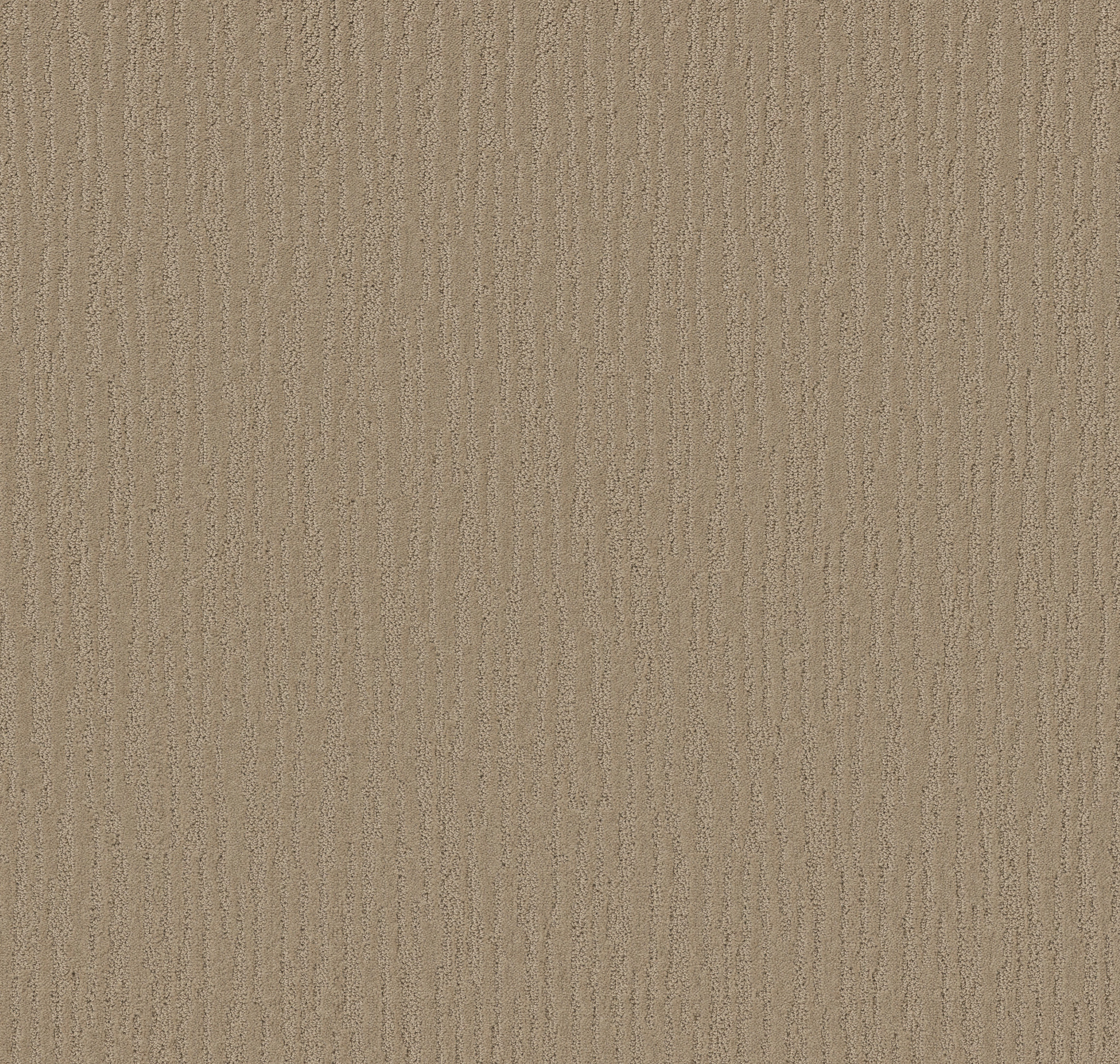 CHAMBERS BAY HIKING TRAIL MAIN