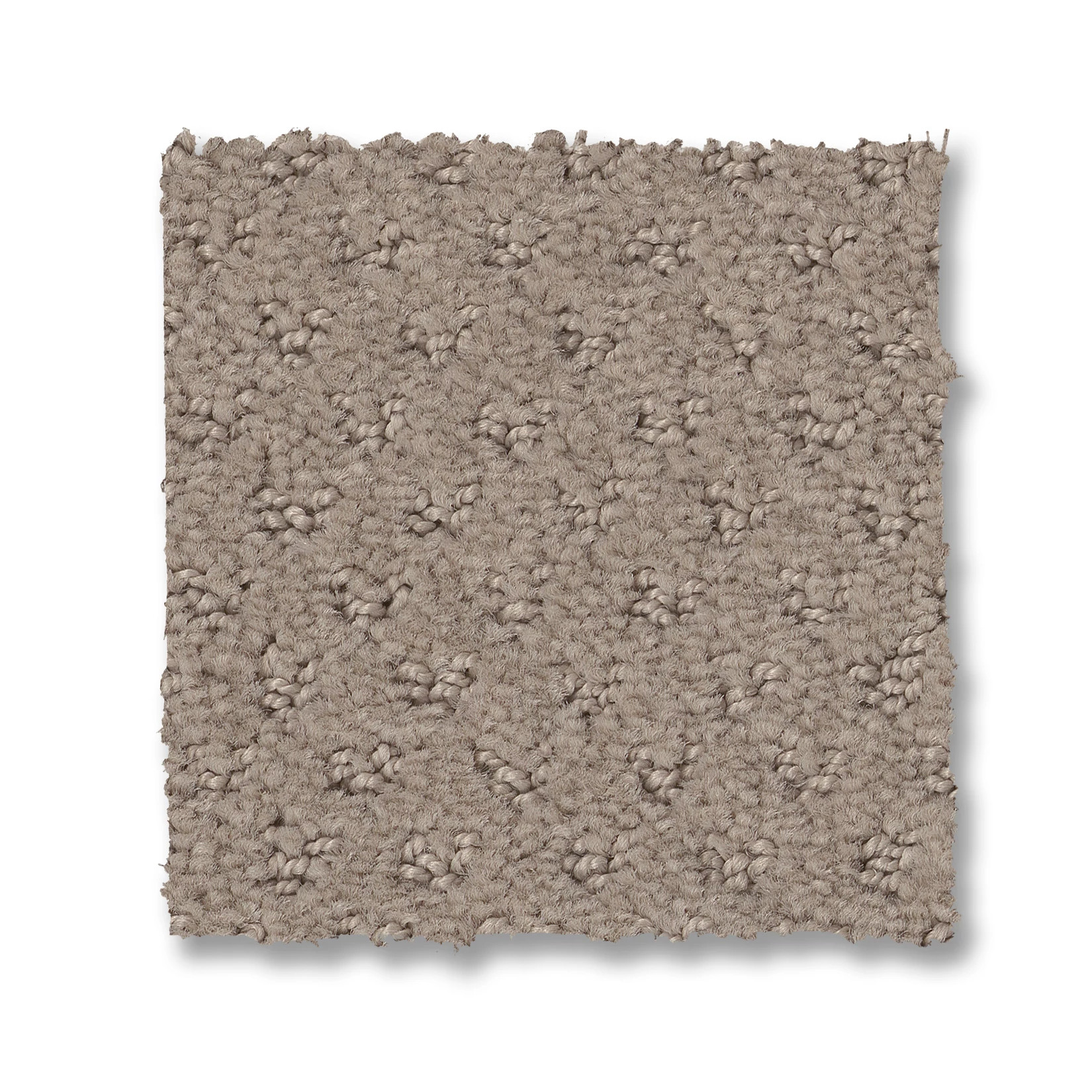 DEL VISTA BARISTA SWATCH