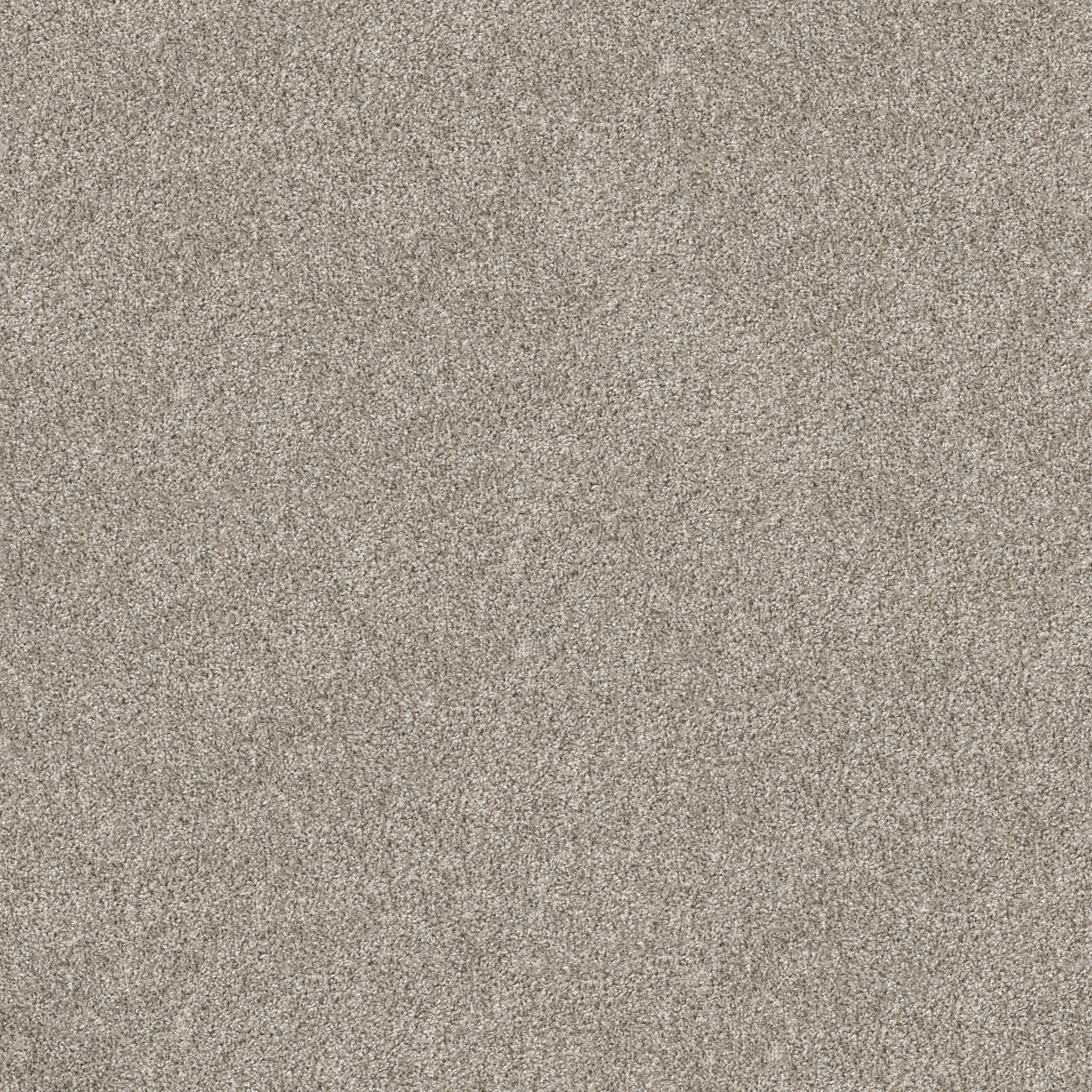 TENACIOUS WIN DAWN BEIGE MAIN