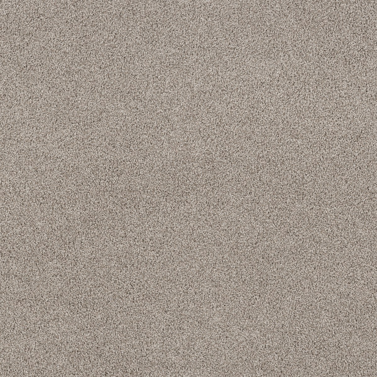Shaw Floors TENACIOUS WIN — DAWN BEIGE