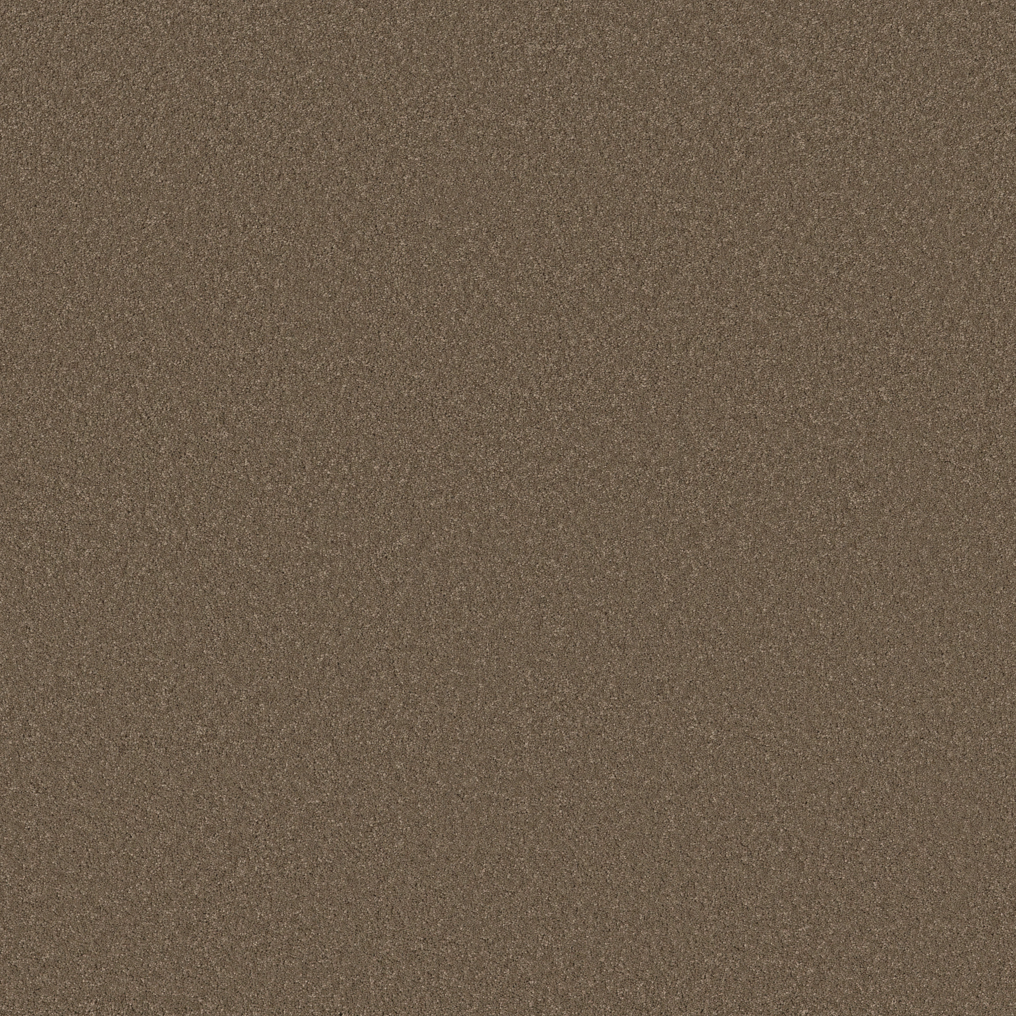 ENDURING CHARM CARAFE MAIN