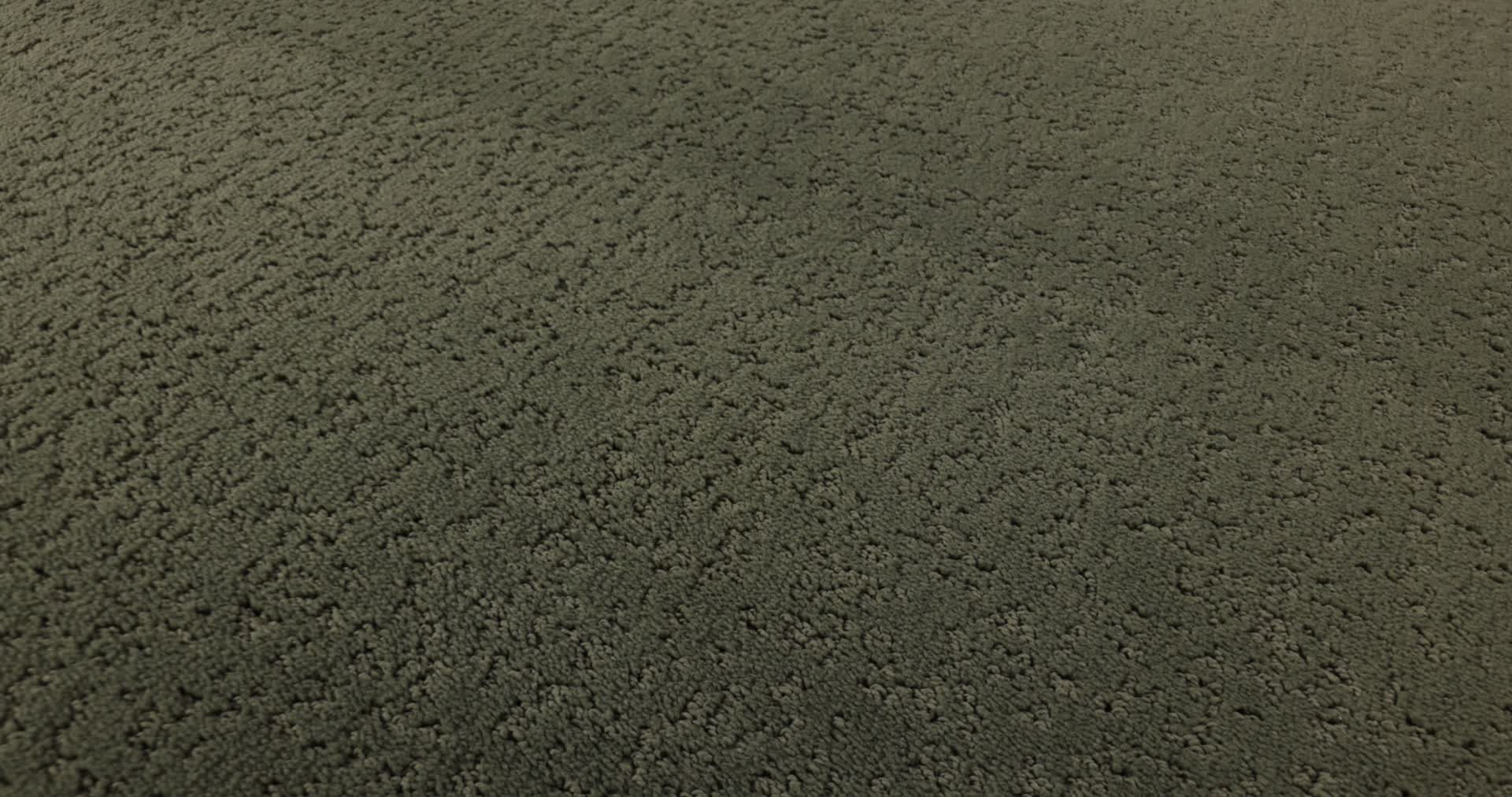 CRAFTED TONE OLIVE TREE 360PROD