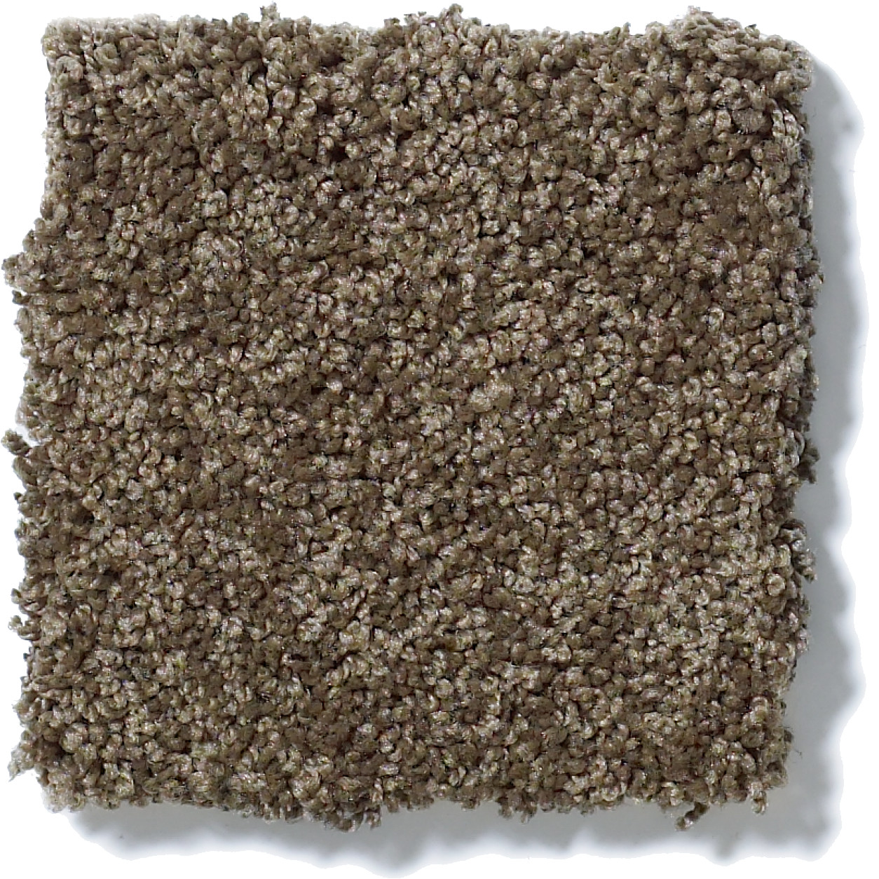 MY INSPIRATION II WEATHERED WOOD SWATCH