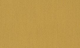 COLOR-ACCENTS-54462-OCHRE-62210-main-image