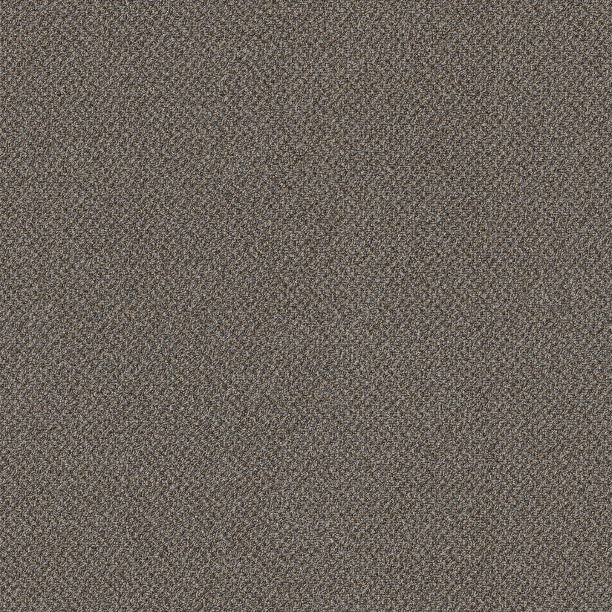 SMALL-WONDER-54984-EXCEPTIONAL-84104-main-image