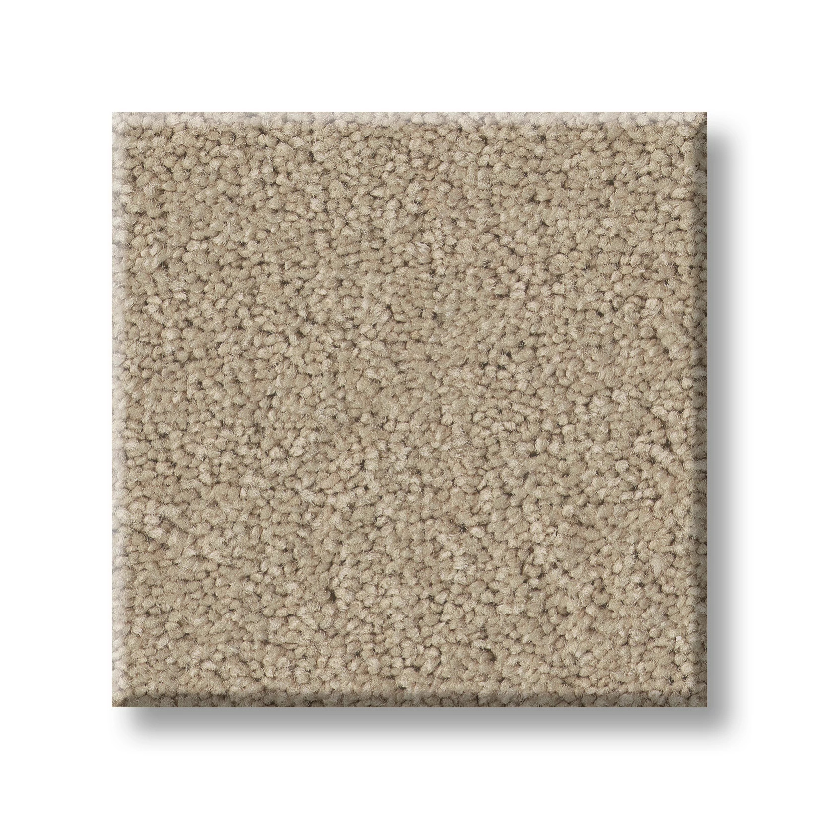 TIMELESS APPEAL I 12' OATMEAL SWATCH