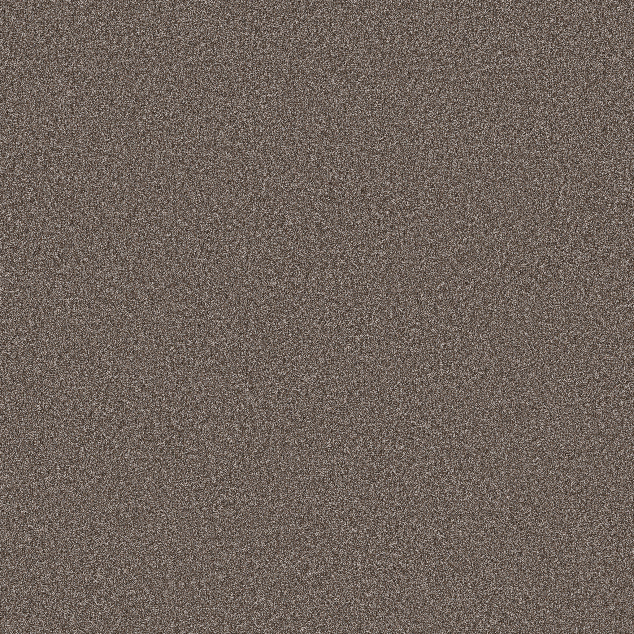 IMAGINABLE I FRENCH ROAST MAIN