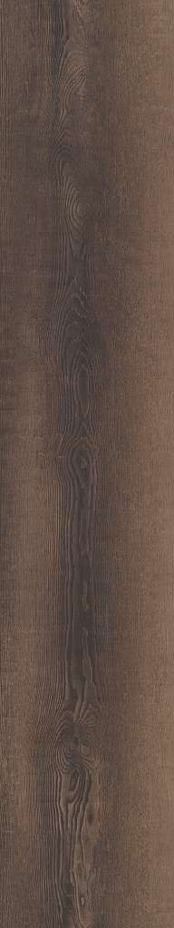 Shaw 1021V Paragon Mix Plus - Blackhill Oak, Brown