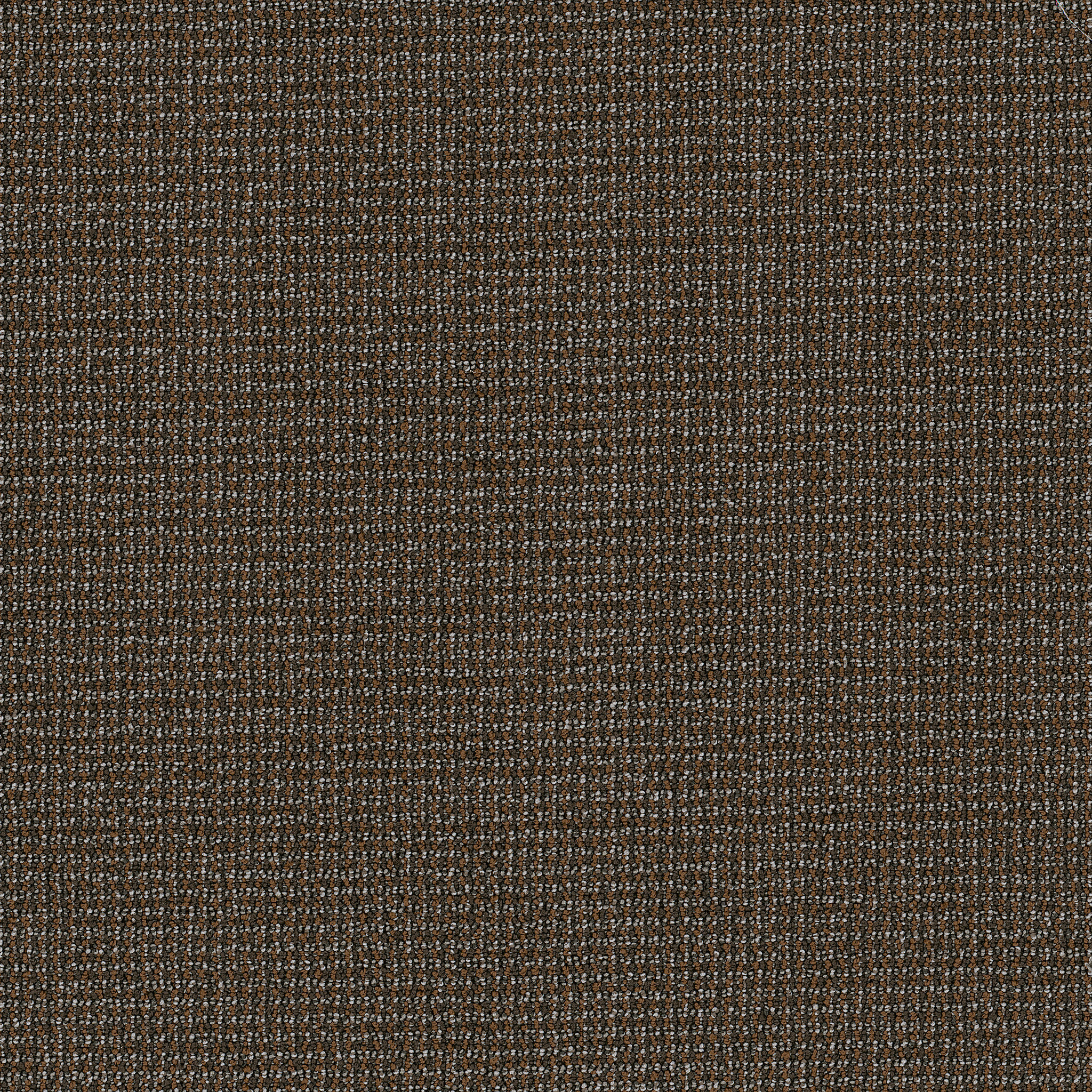 DATELINE-TODAY-54823-FIRST-LOOK-00720-main-image