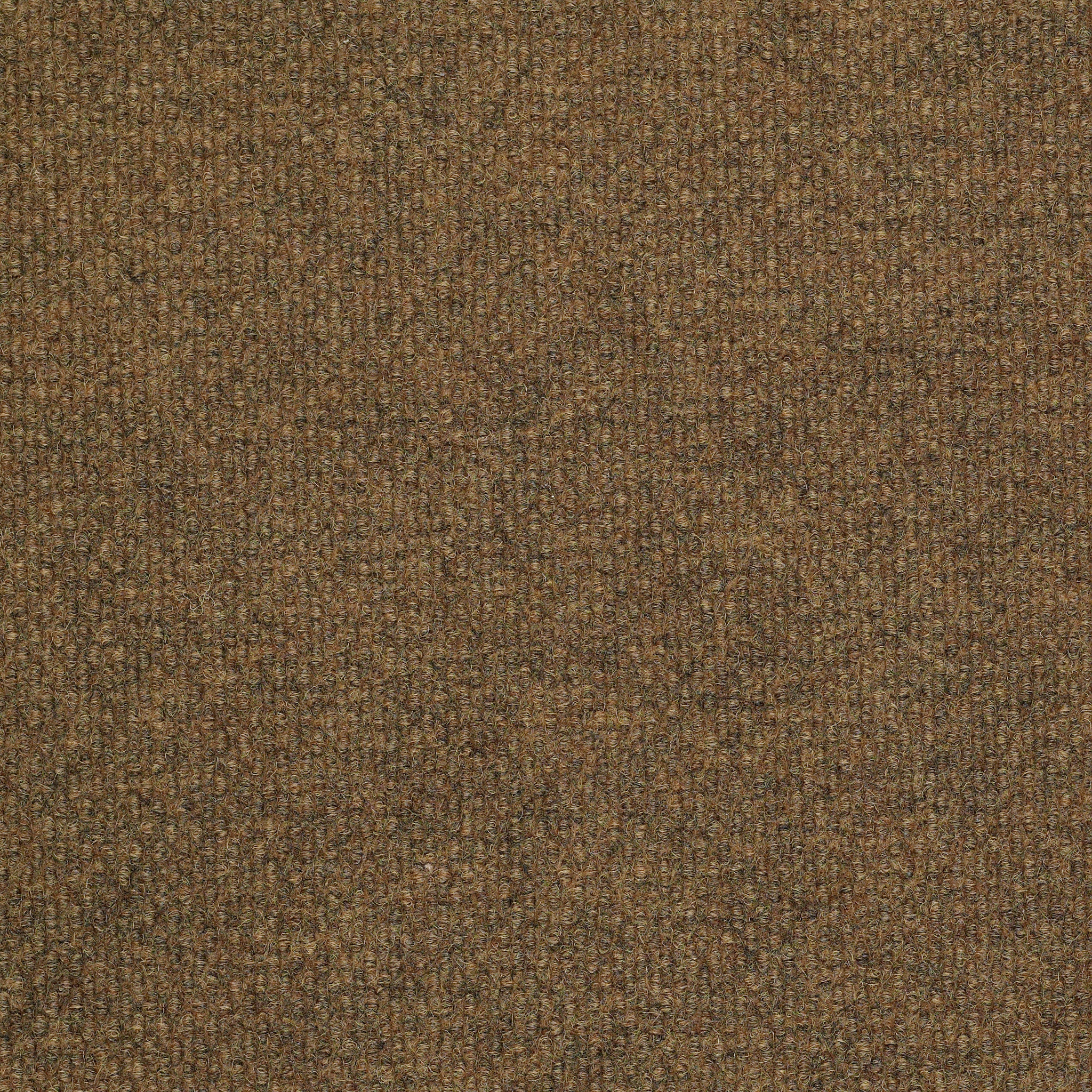 SUCCESSIONII-BL-54694-HAMMERED-00200-main-image