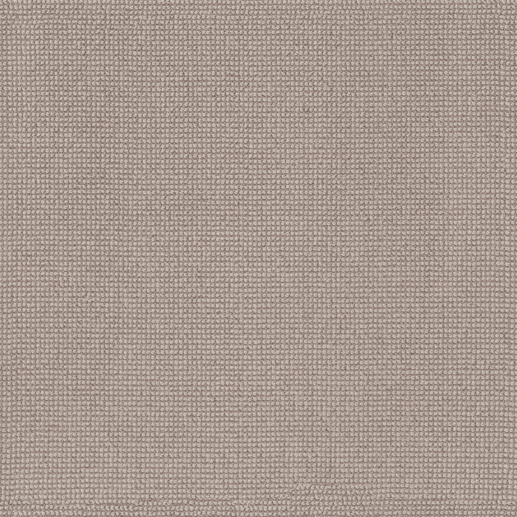 ALLURING GYPSUM MAIN