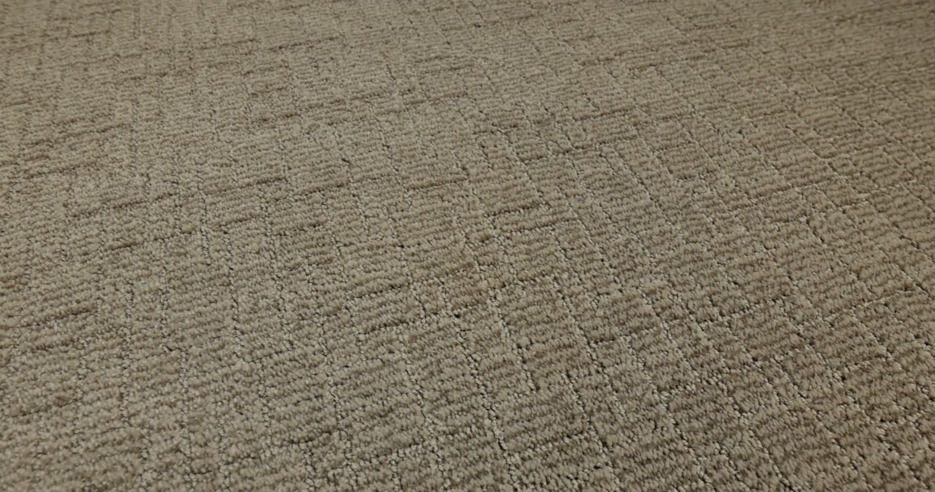 WAYFARER PLAINS 360PROD