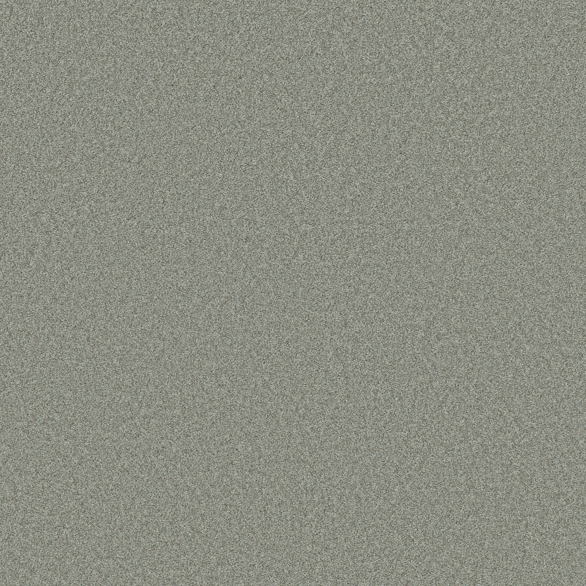 AG True Delight I ZEN GARDEN MAIN