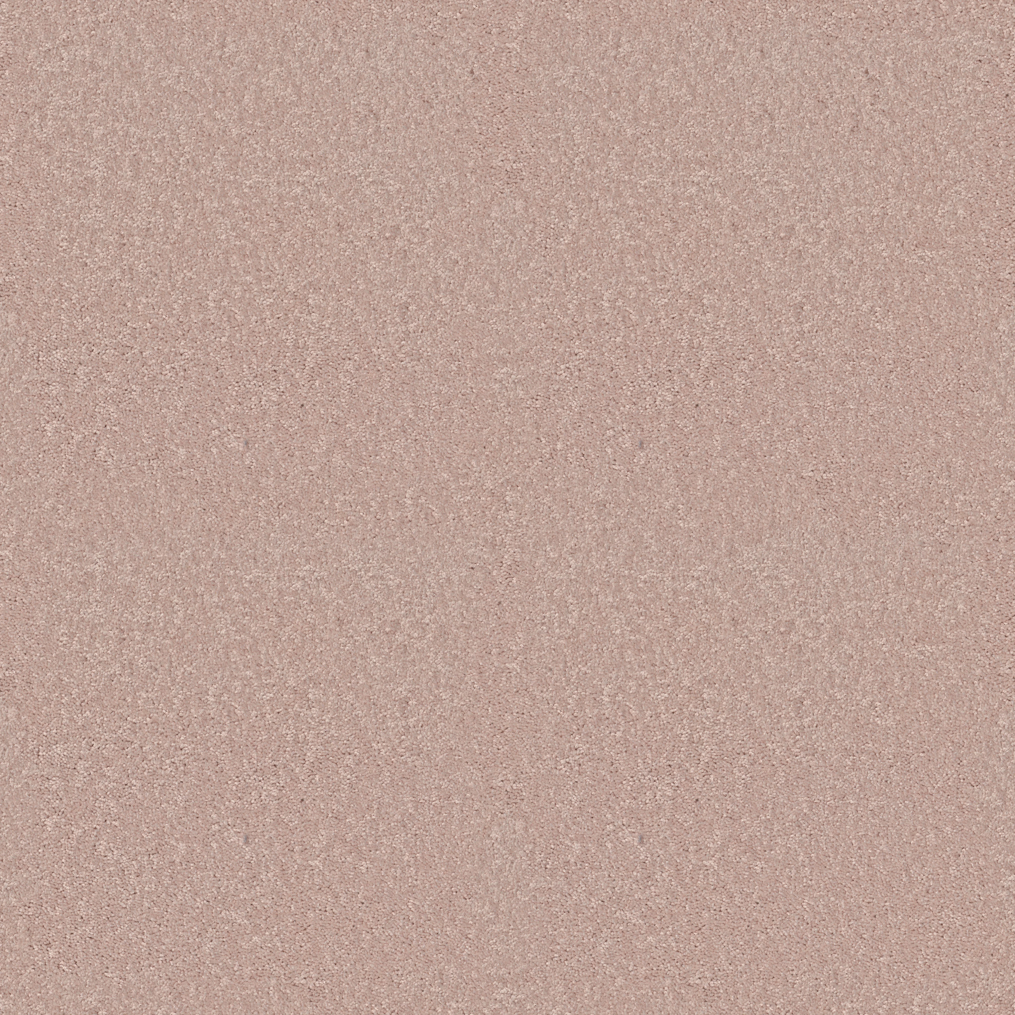 HOLLYWOOD REGENCY II 15' SHEER ECRU MAIN