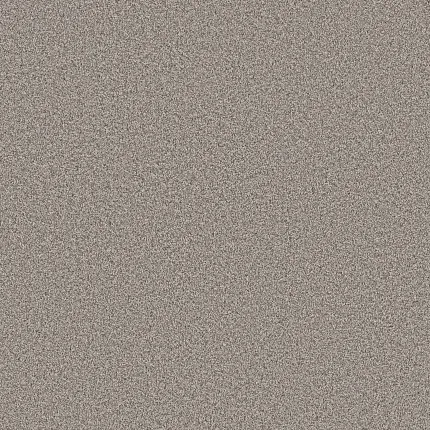 Durable light gray carpet for a cozy home atmosphere Light gray textured carpet swatch for everyday comfort and easy maintenance
