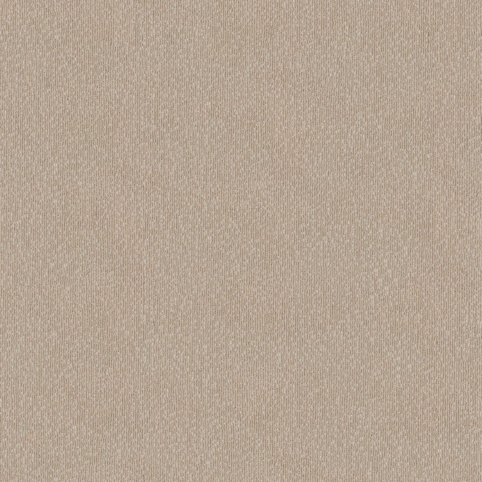 TRANQUIL WATERS FOSSIL MAIN