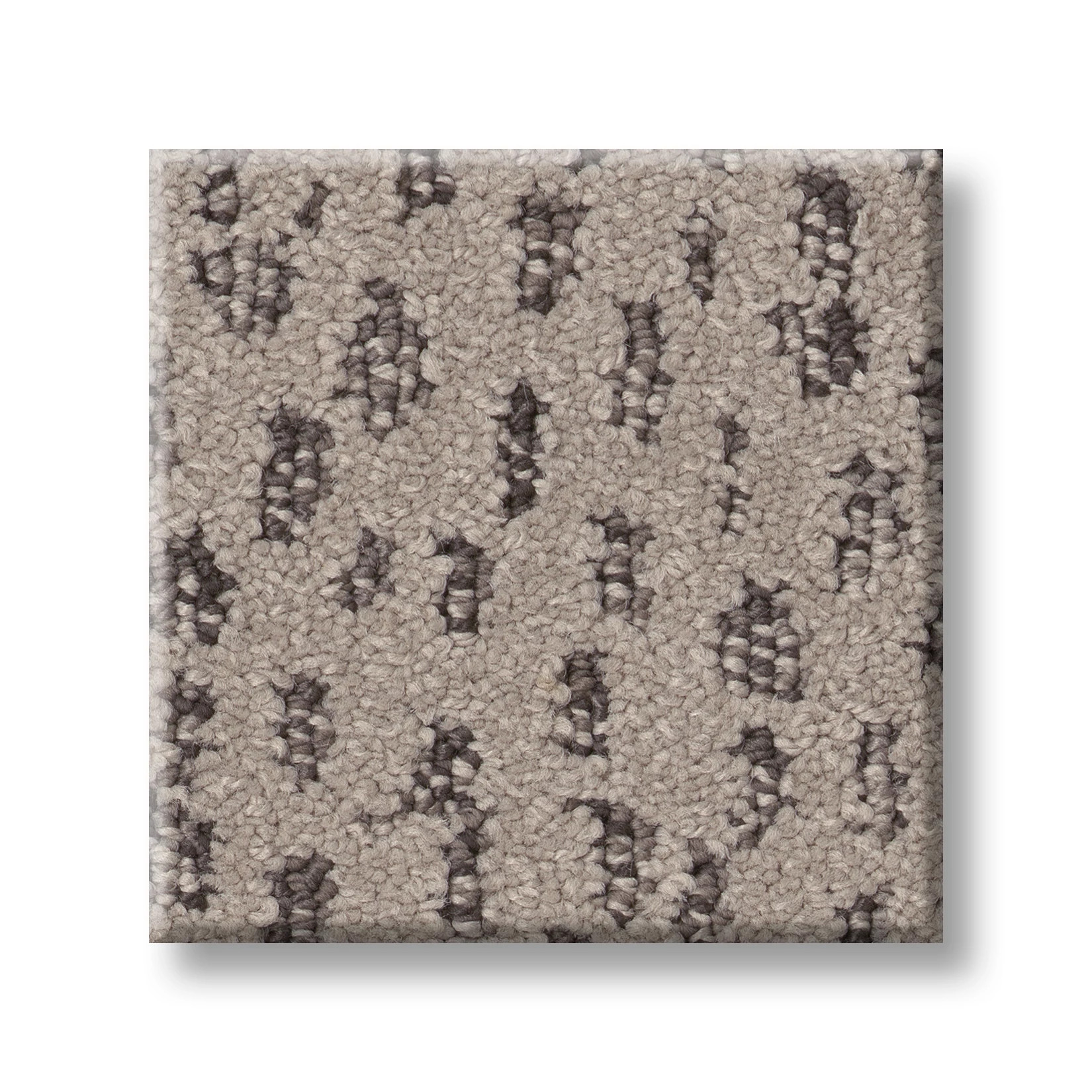 AMBITIOUS MOCHA SWATCH