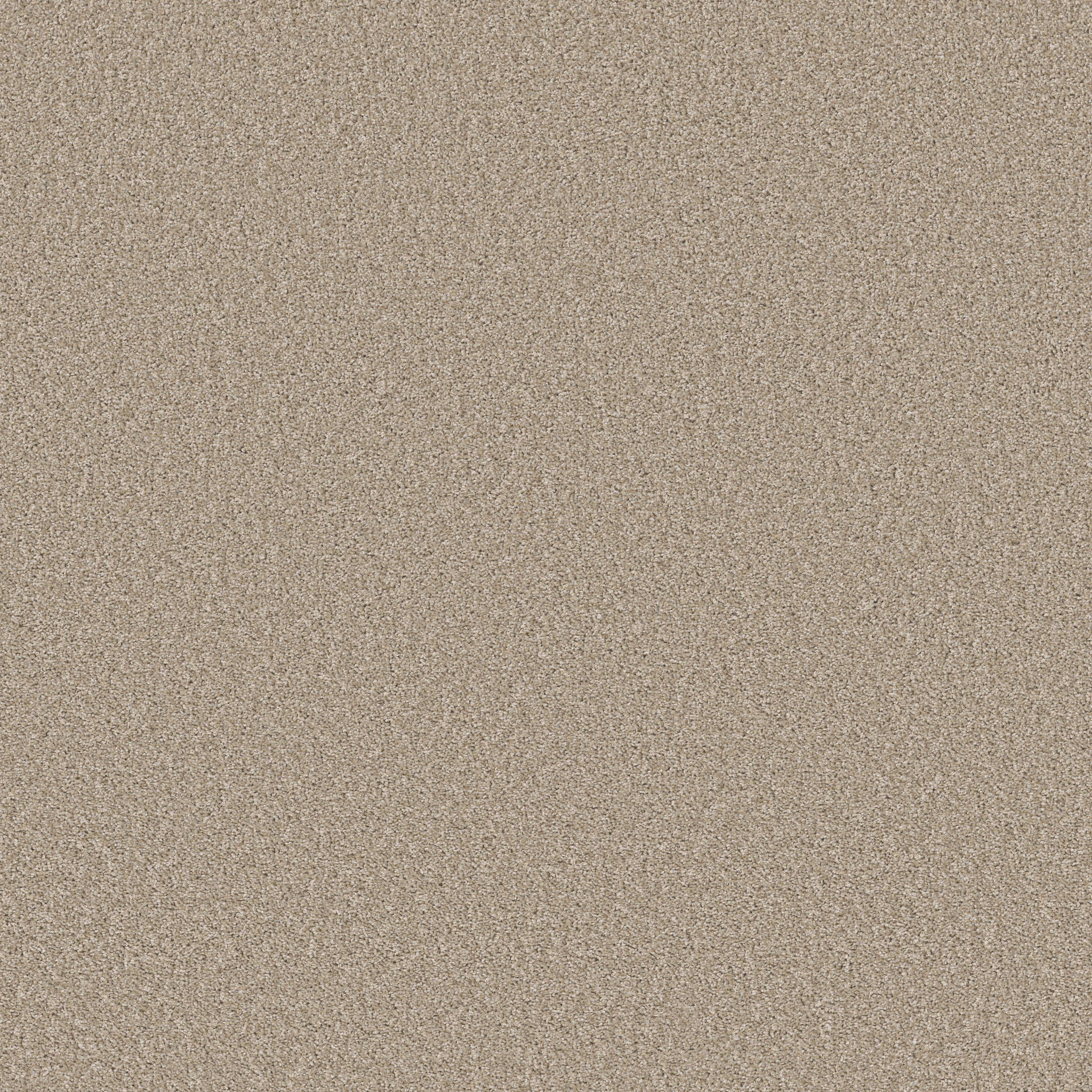 ARTISTIC FUSION I CASHMERE MAIN