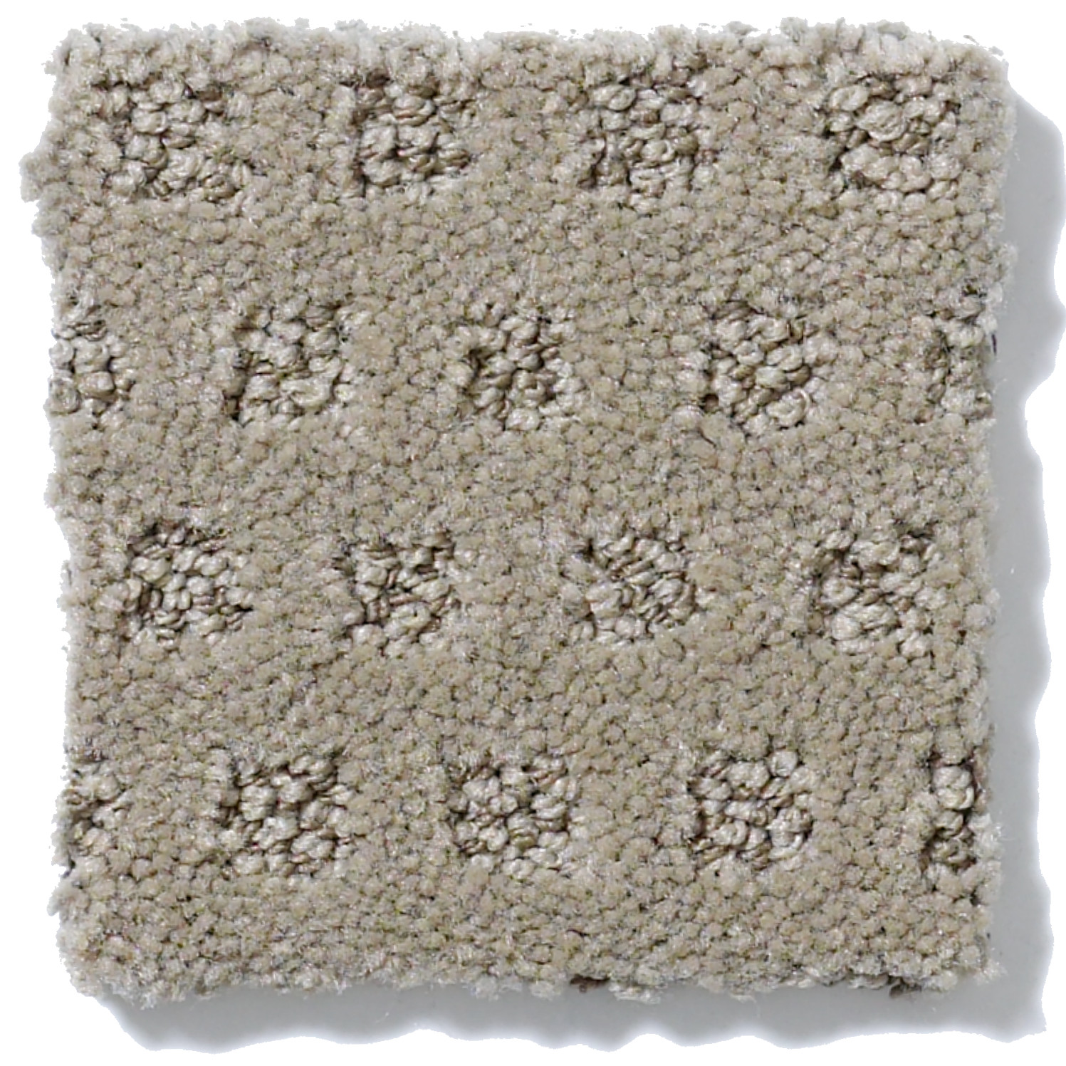 THE ARTS MISSOULA SWATCH