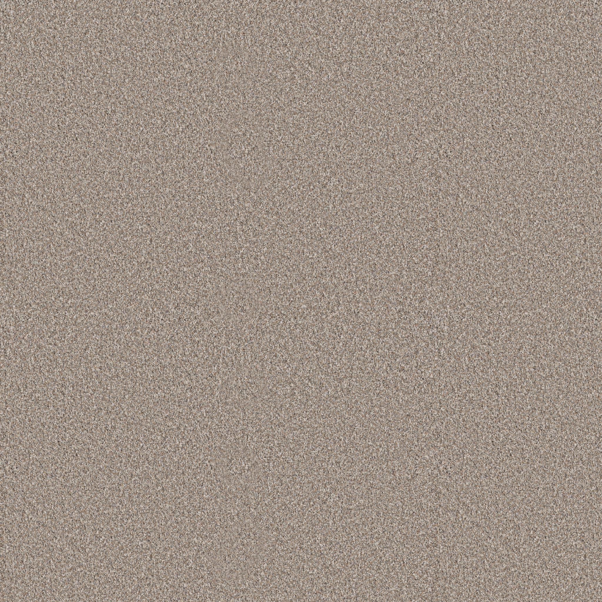 Elevated III in Dawn Beige