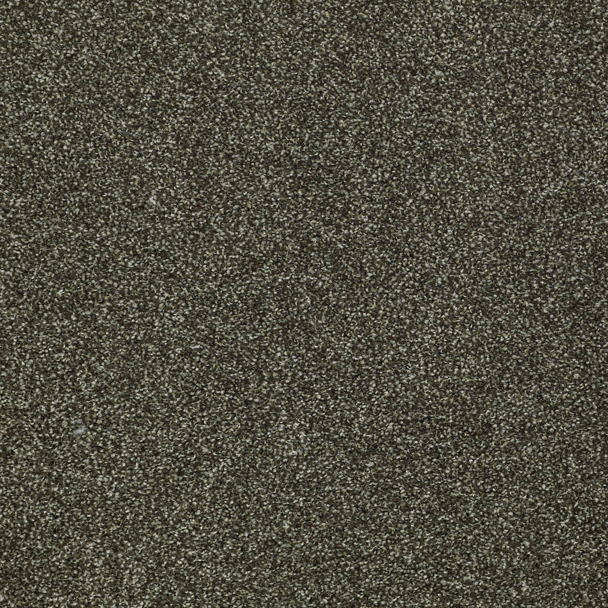 PICTURESQUE GARDEN RETREAT MAIN