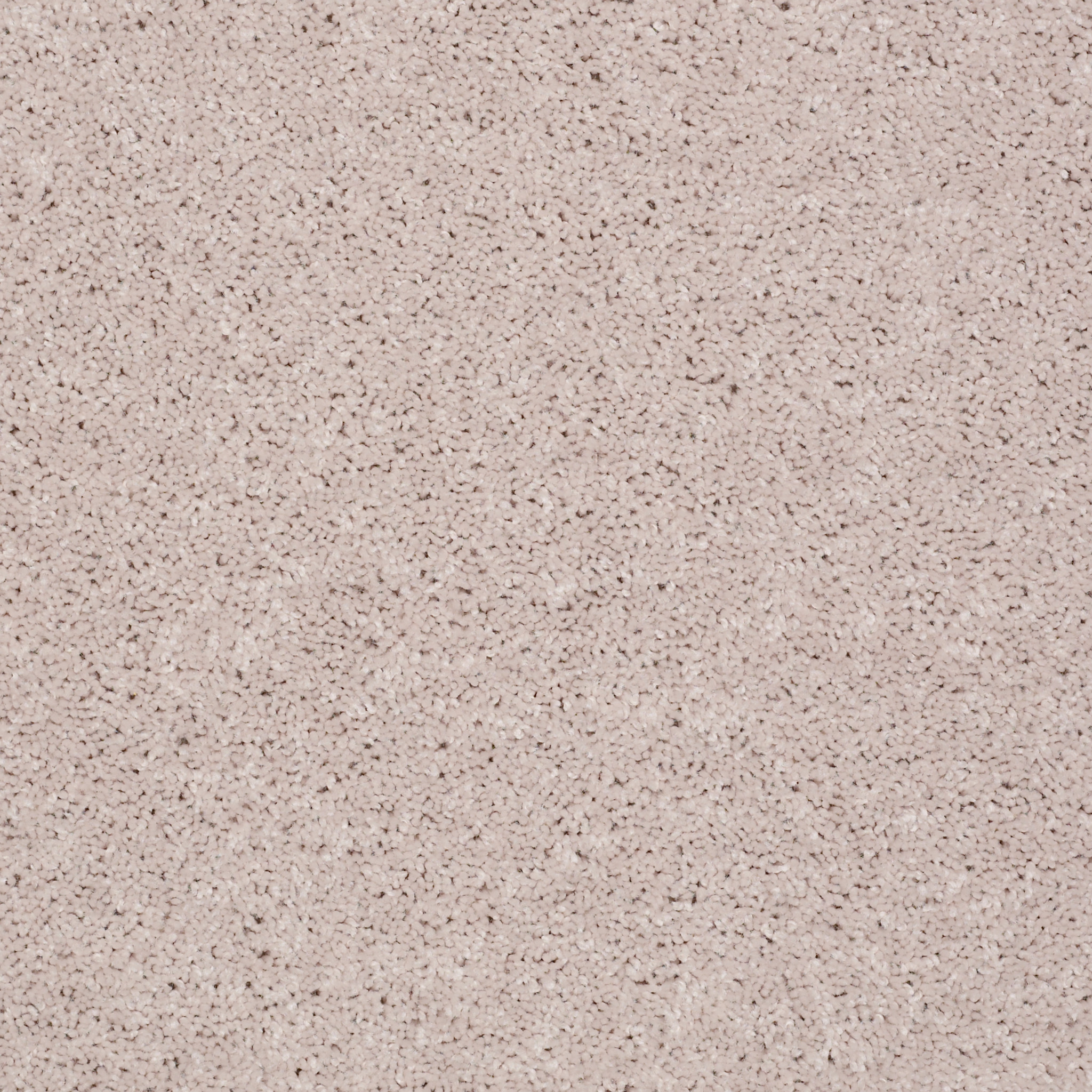 POINT GUARD 12' ANGEL CLOUD MAIN