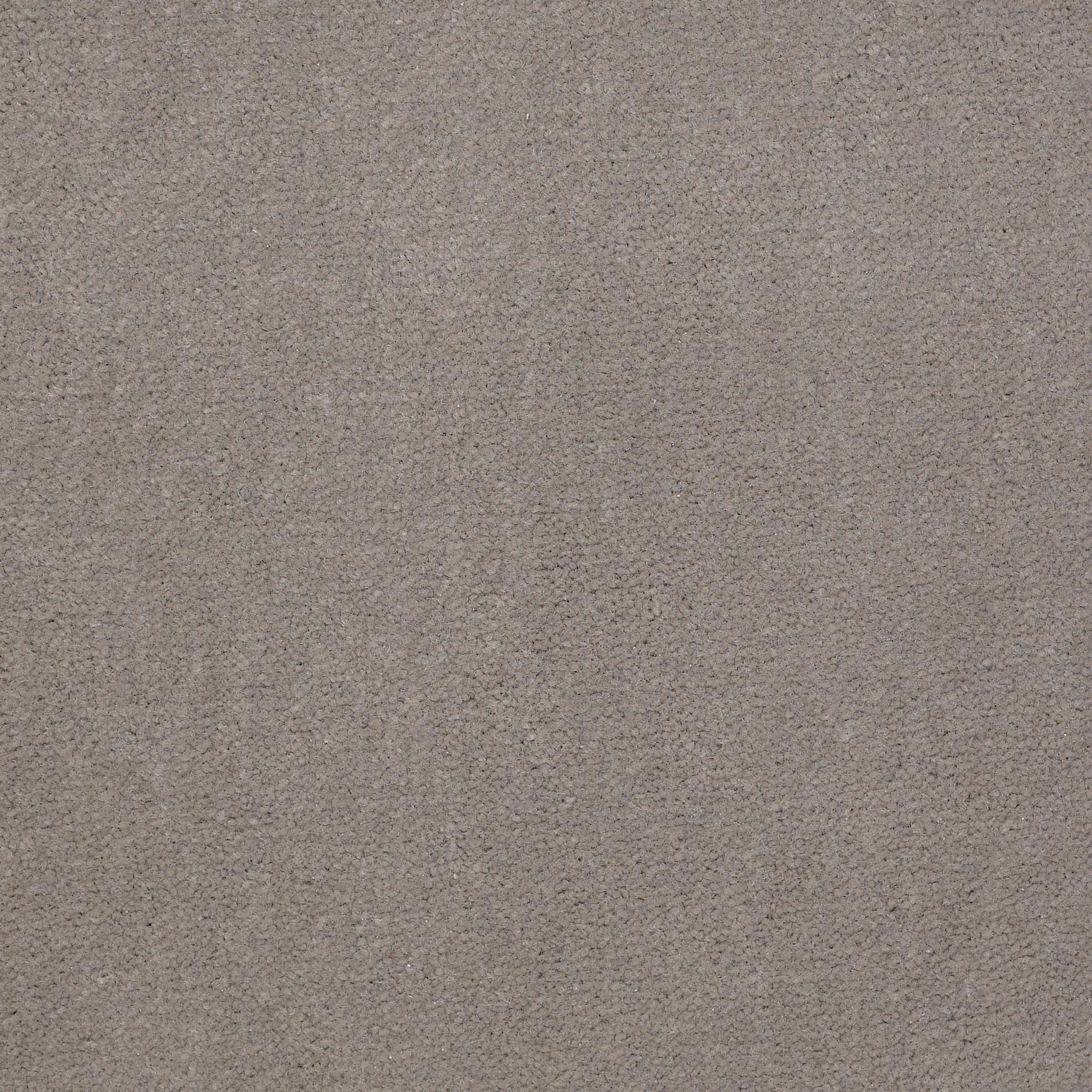 EMPHATIC-II-36-54256-GRAY-HARE-56510-main-image