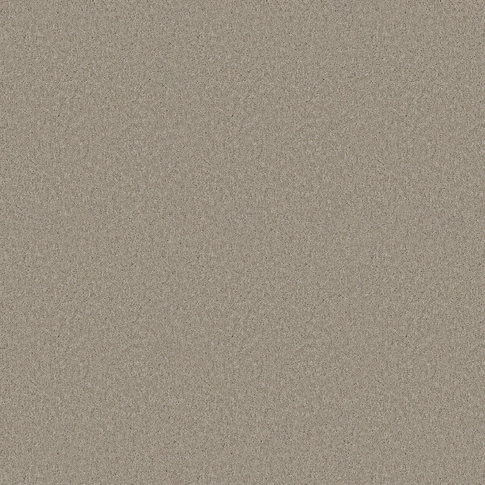 ENCHANTING STRING MAIN