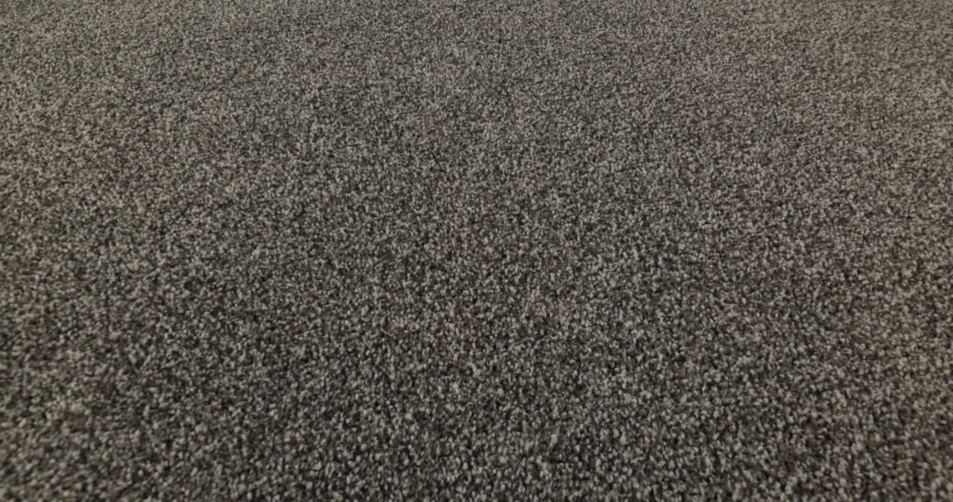 MAJORITY RULES RICH EARTH 360PROD