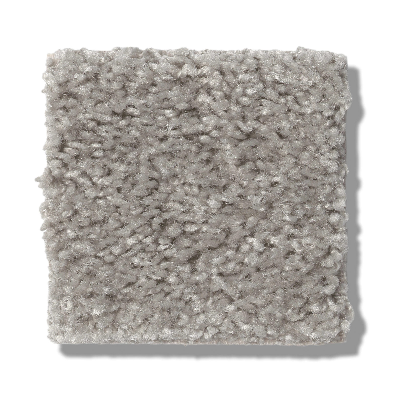 VALIANT RAINDANCE SWATCH