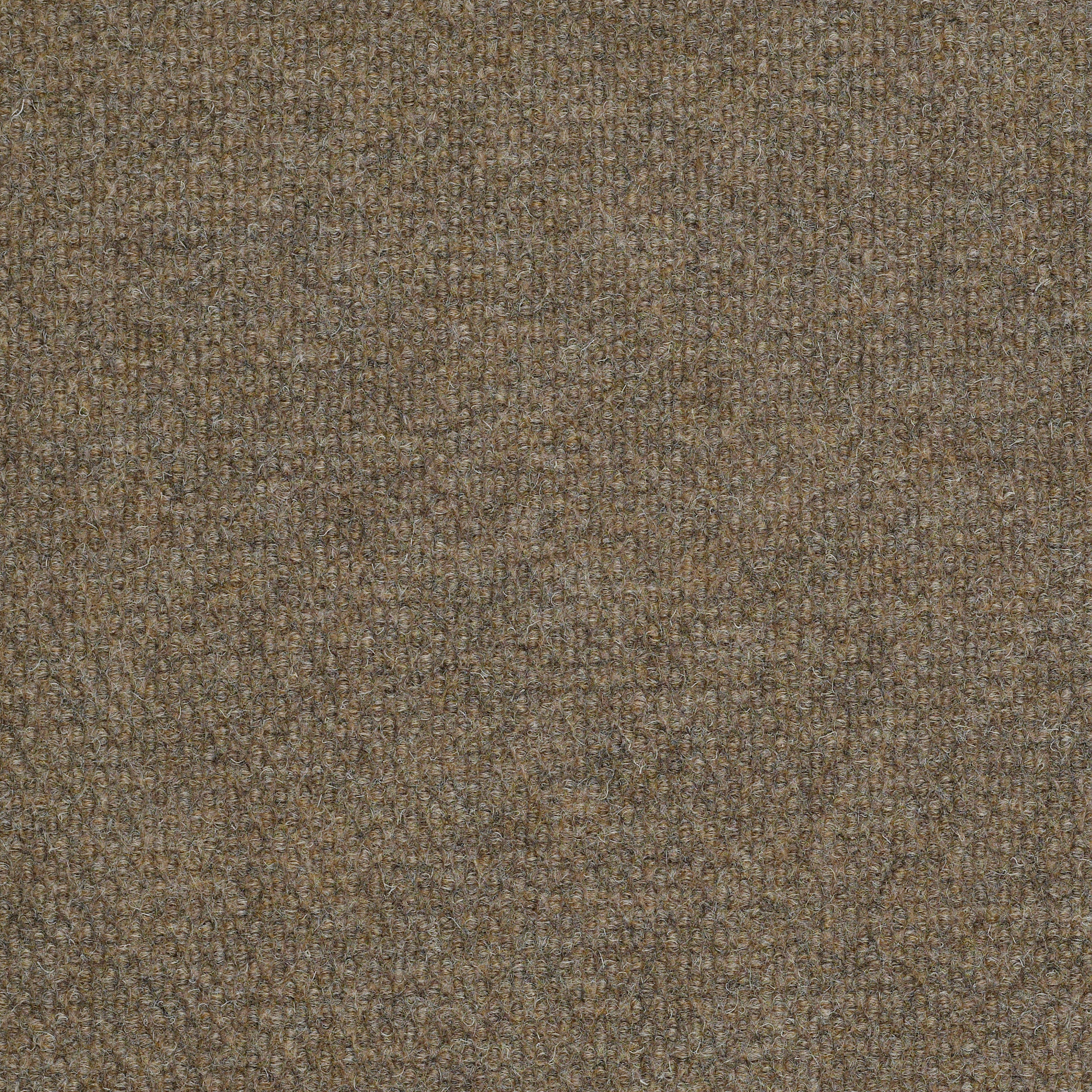 SUCCESSION-II-TL-54695-SIERRA-SAND-00700-main-image