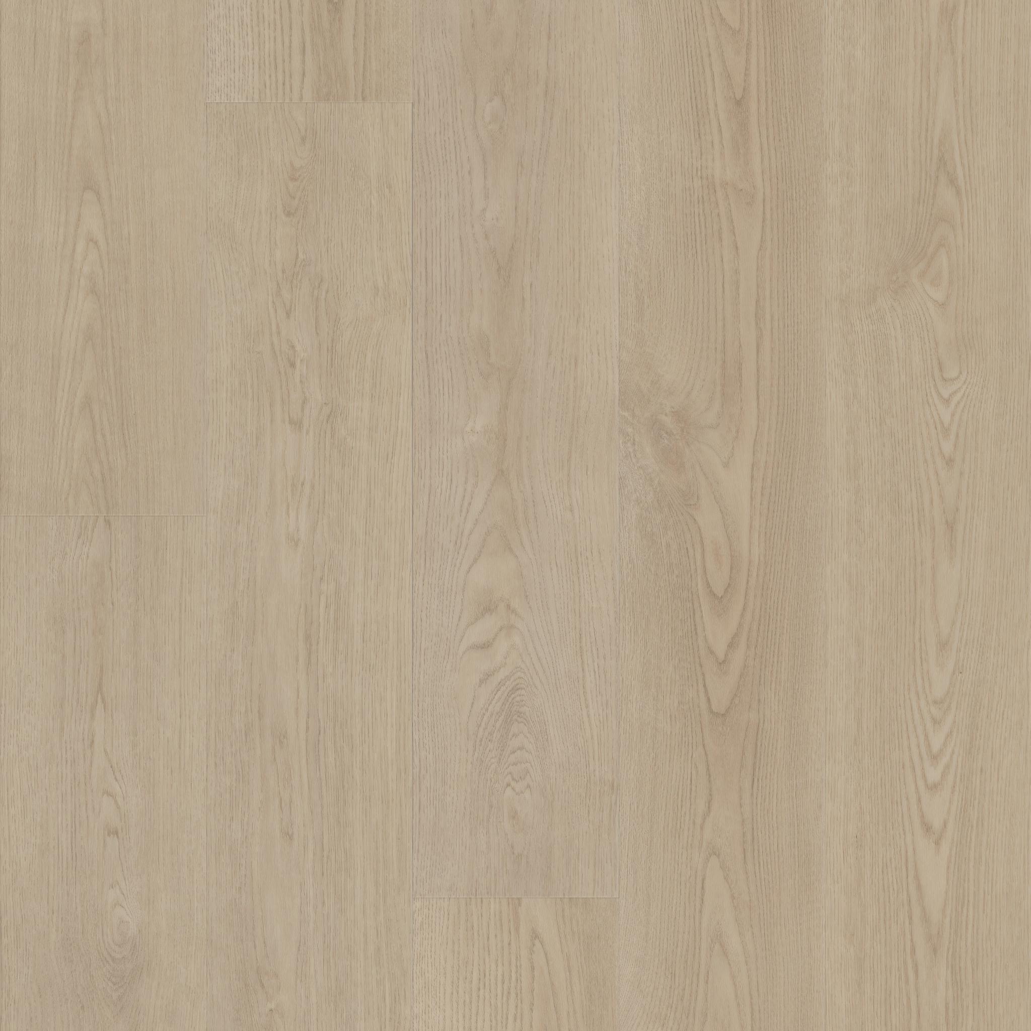 Envision in Earthen Brown