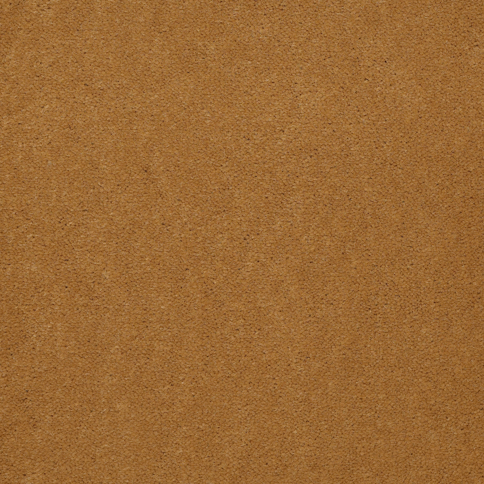 EMPHATIC-II-36-54256-GOLD-COAST-56240-main-image