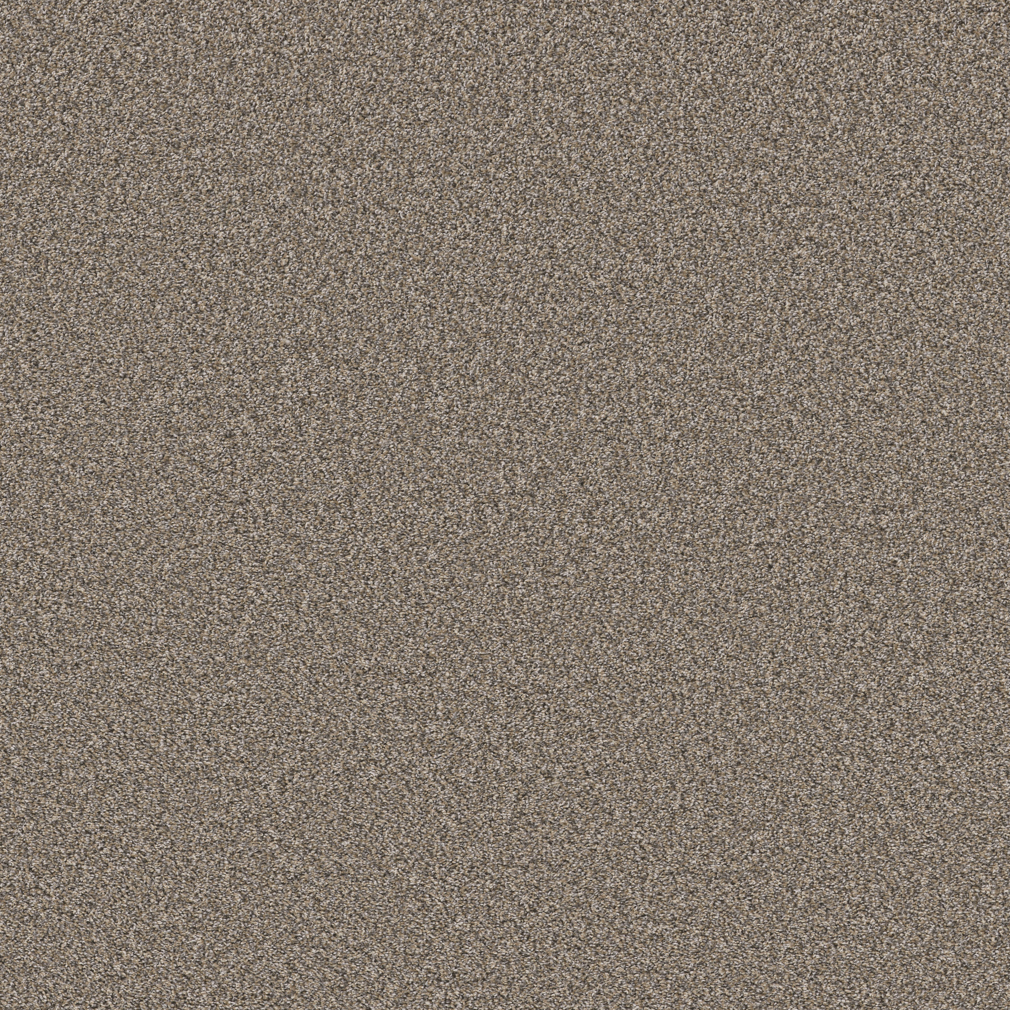 REMIXED CLASSIC NUTRIA MAIN