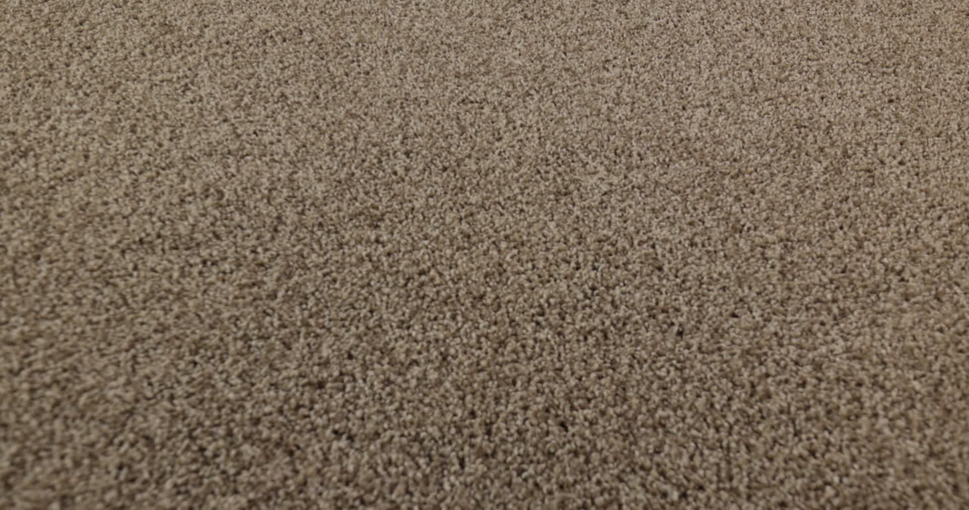 COZY HARBOR I TUMBLEWEED 360PROD