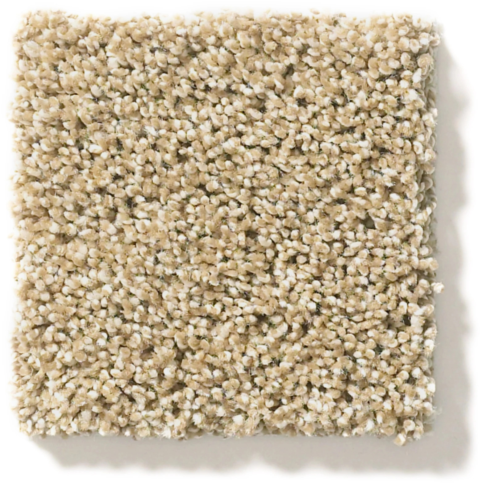 ACROSS THE BAY SERENGETI SWATCH