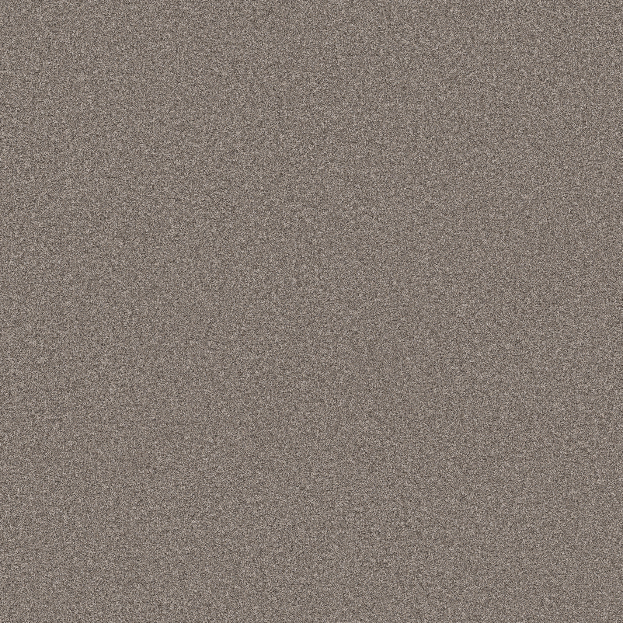 WONDERLAND II CREEK BED MAIN