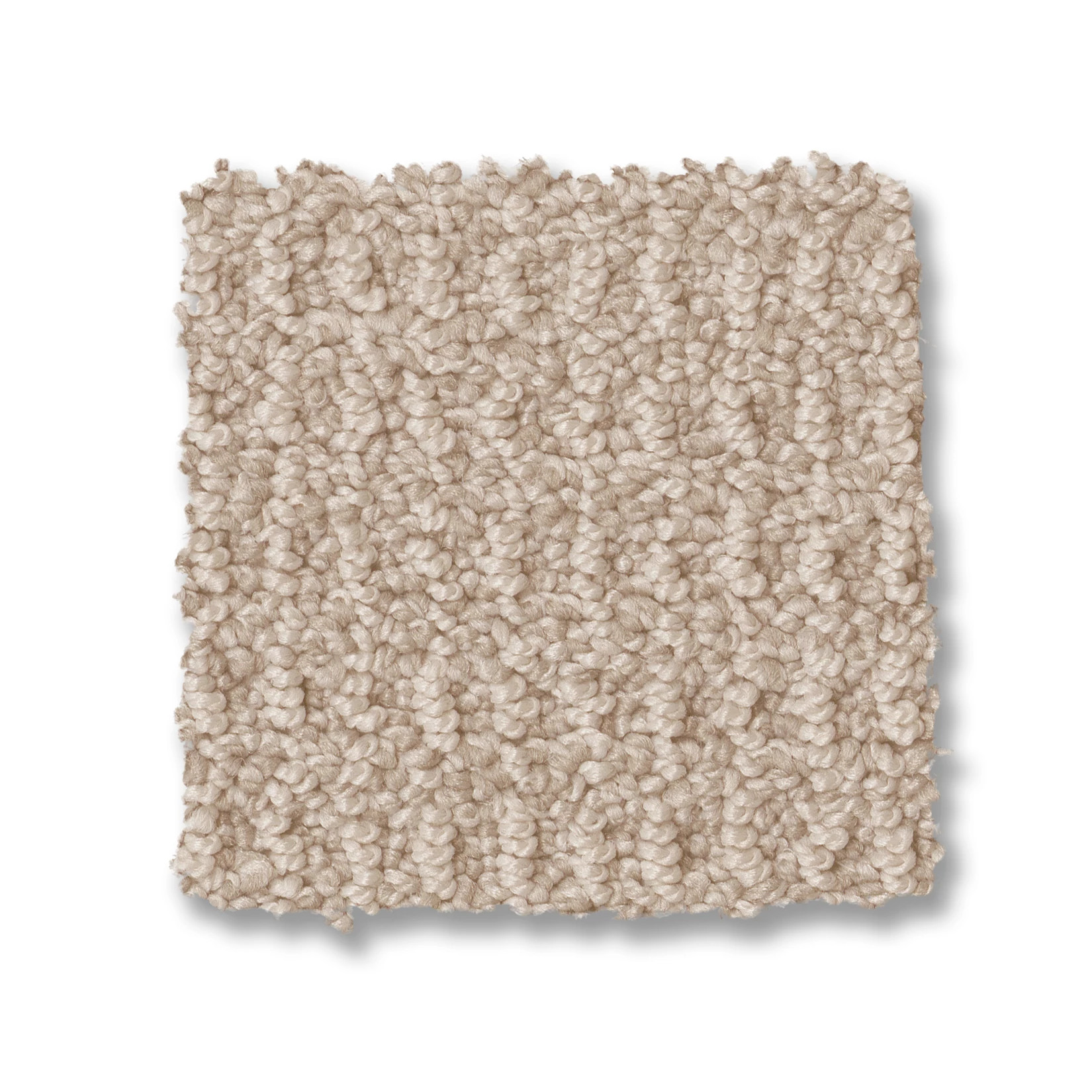 AG Relaxed Living SHELL SWATCH