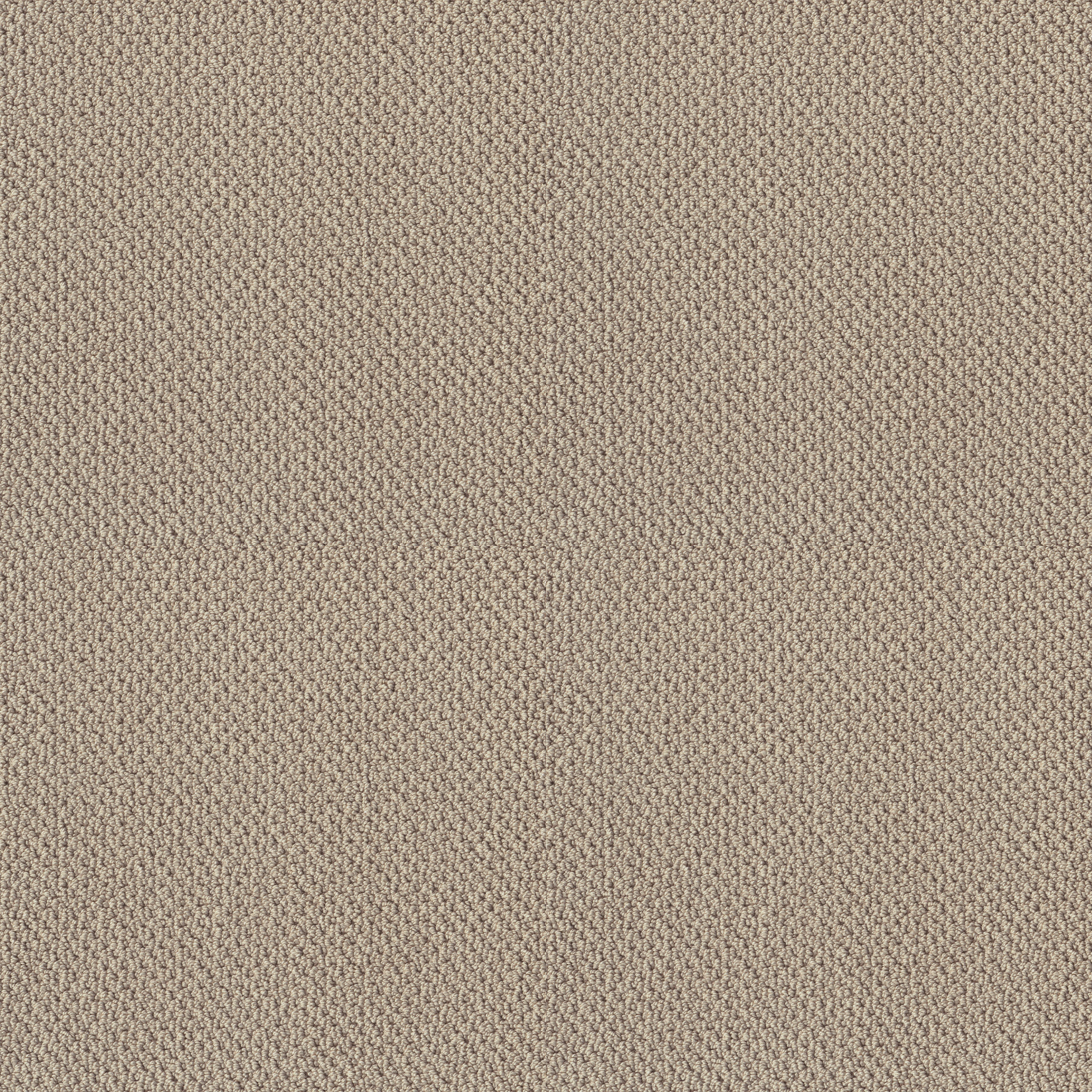 Artist View Loop - Textured Canvas Carpet | Shaw Floors