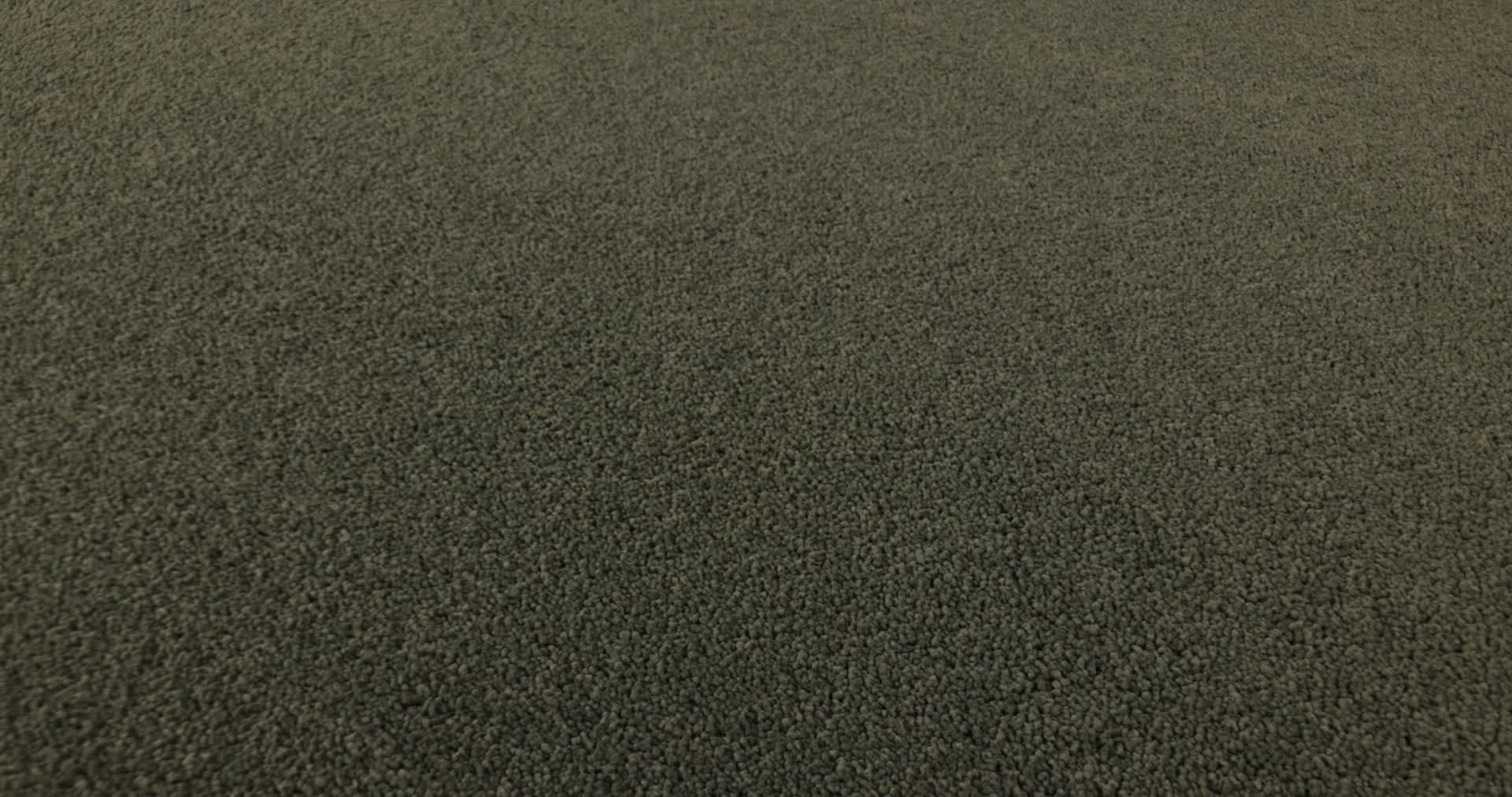 SMOOTH TONE OLIVE TREE 360PROD