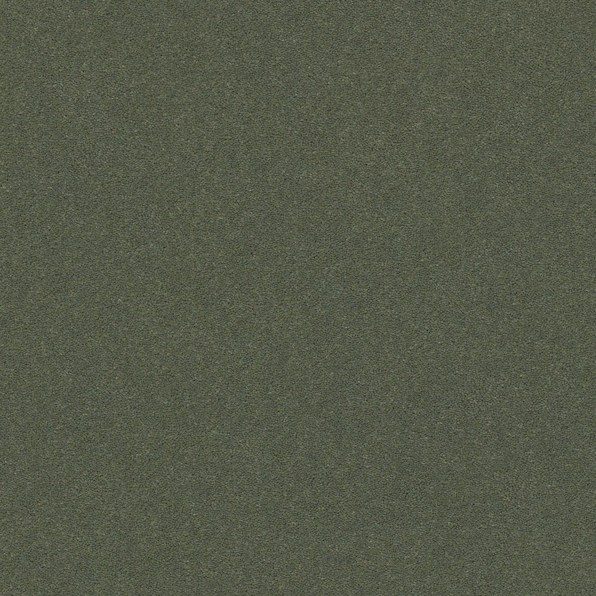 PERFECT CHOICE DYNASTY GREEN MAIN