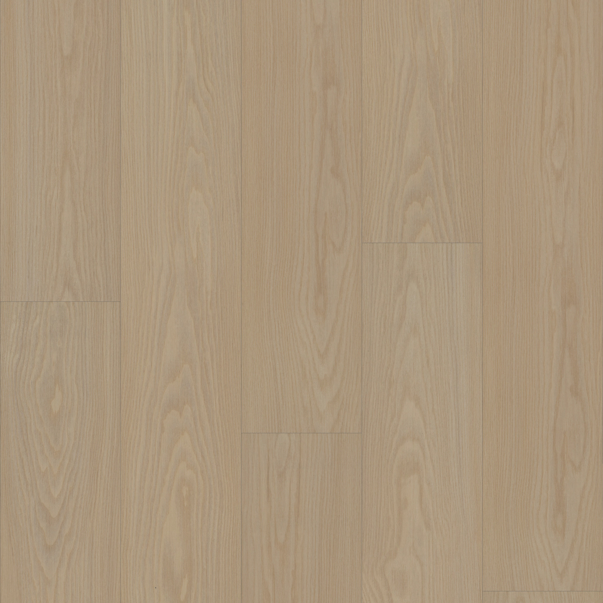 DISTINCTION PLUS TOASTED SIENNA MAIN