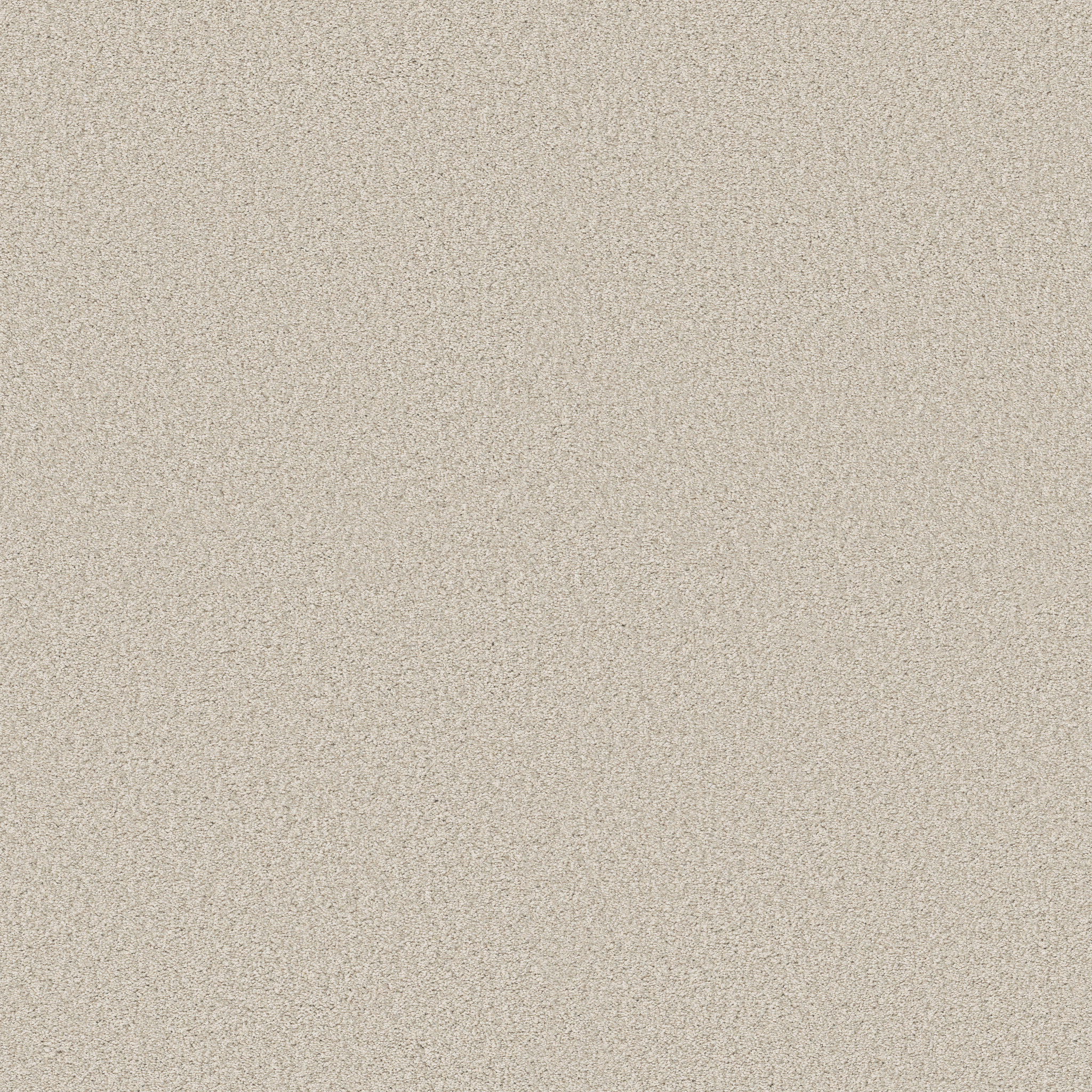 Find your comfort II - Tonal CHAMPAGNE TOAST MAIN