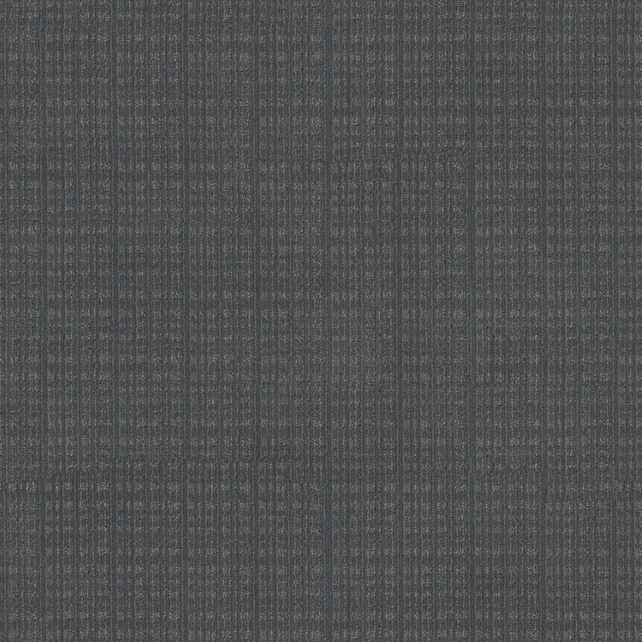 PURRSUASION WATERLOO MAIN