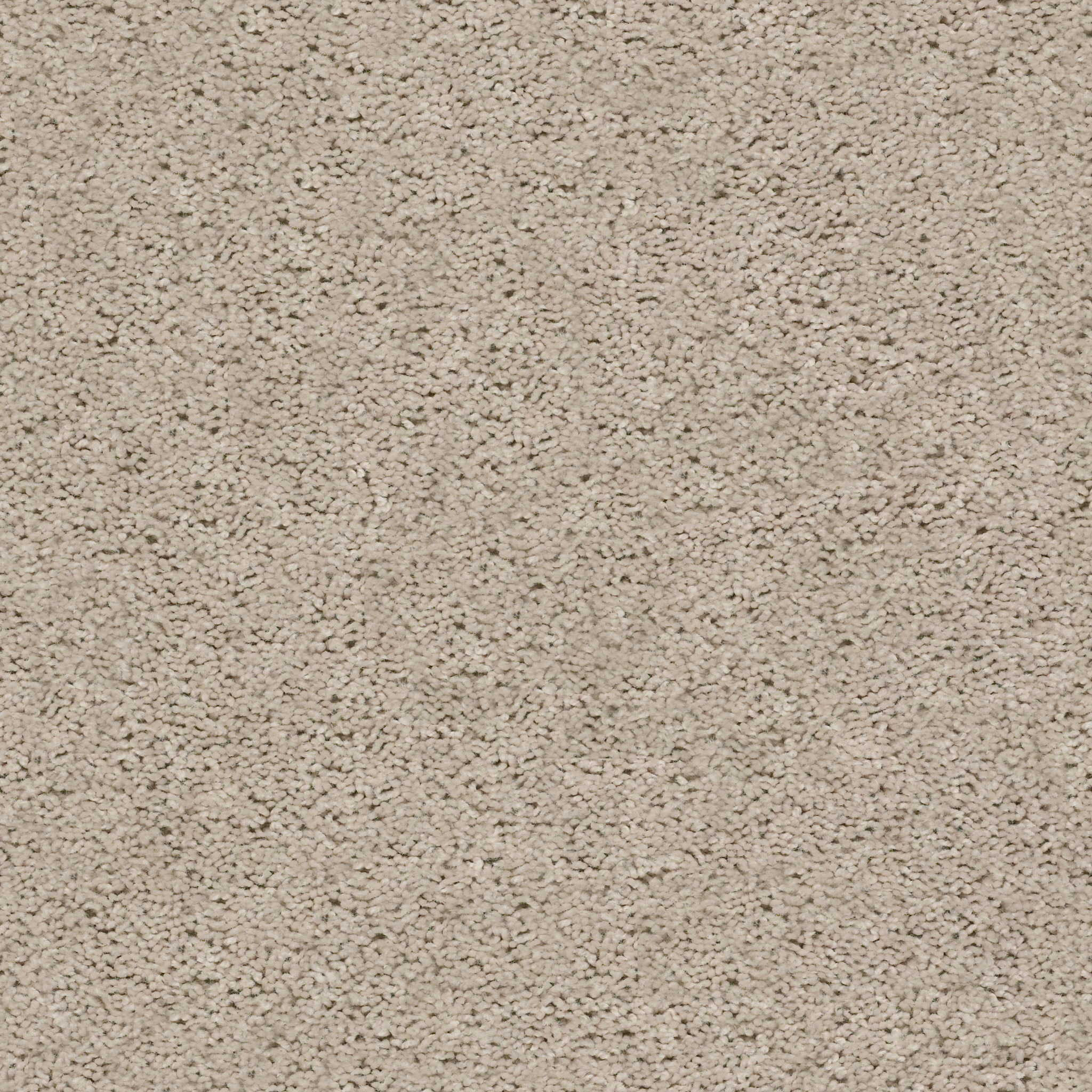 BREAK AWAY - SOLID ECRU MAIN