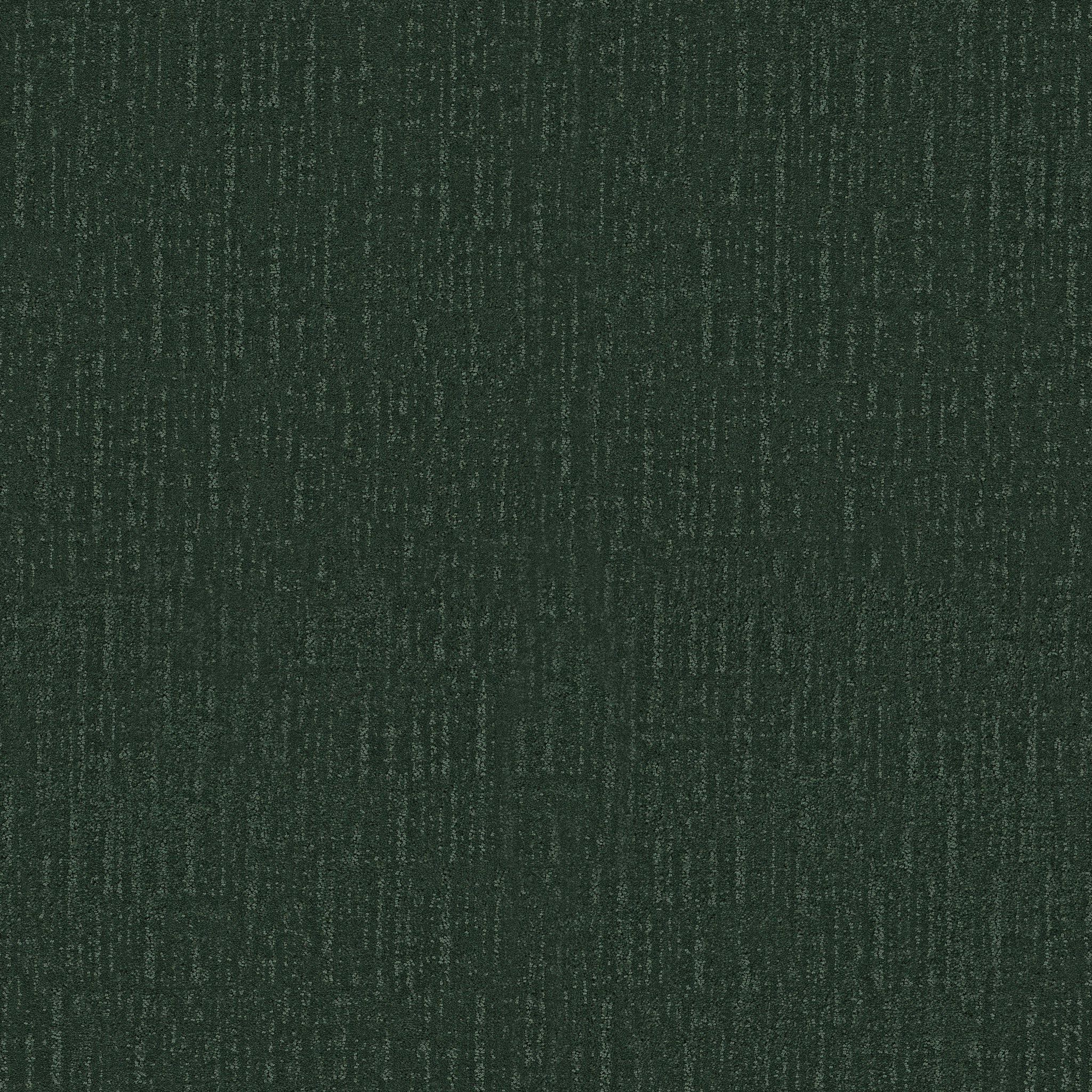 ENDLESS MEMORIES MAGNOLIA BRANCH MAIN